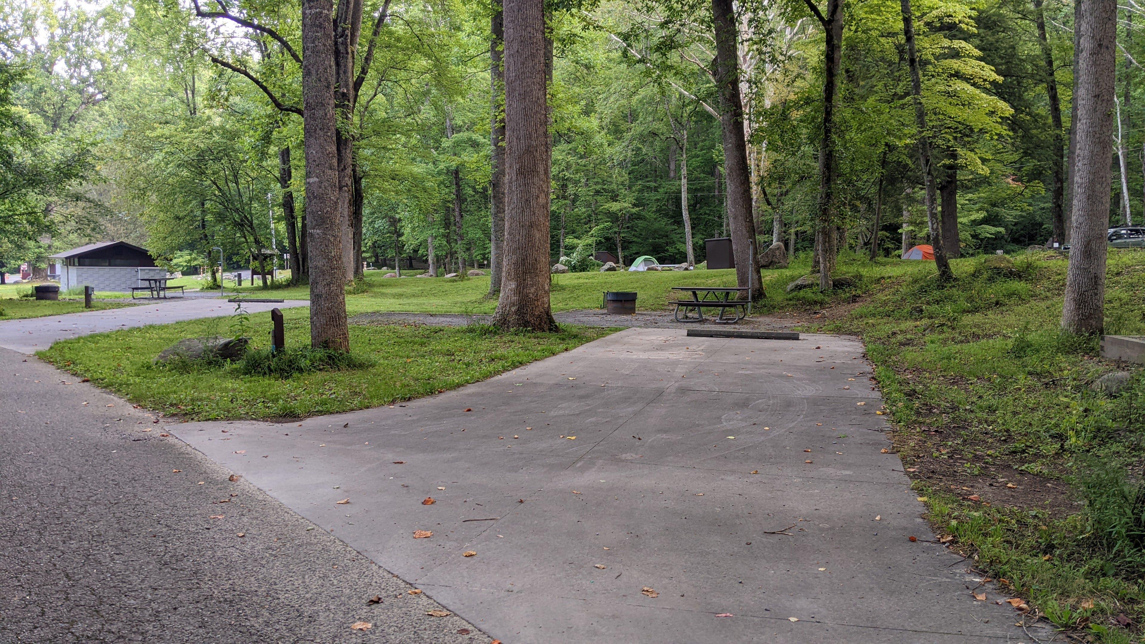 A wide, paved driveway to an accessible site with a fire ring, picnic table, and tent pad.