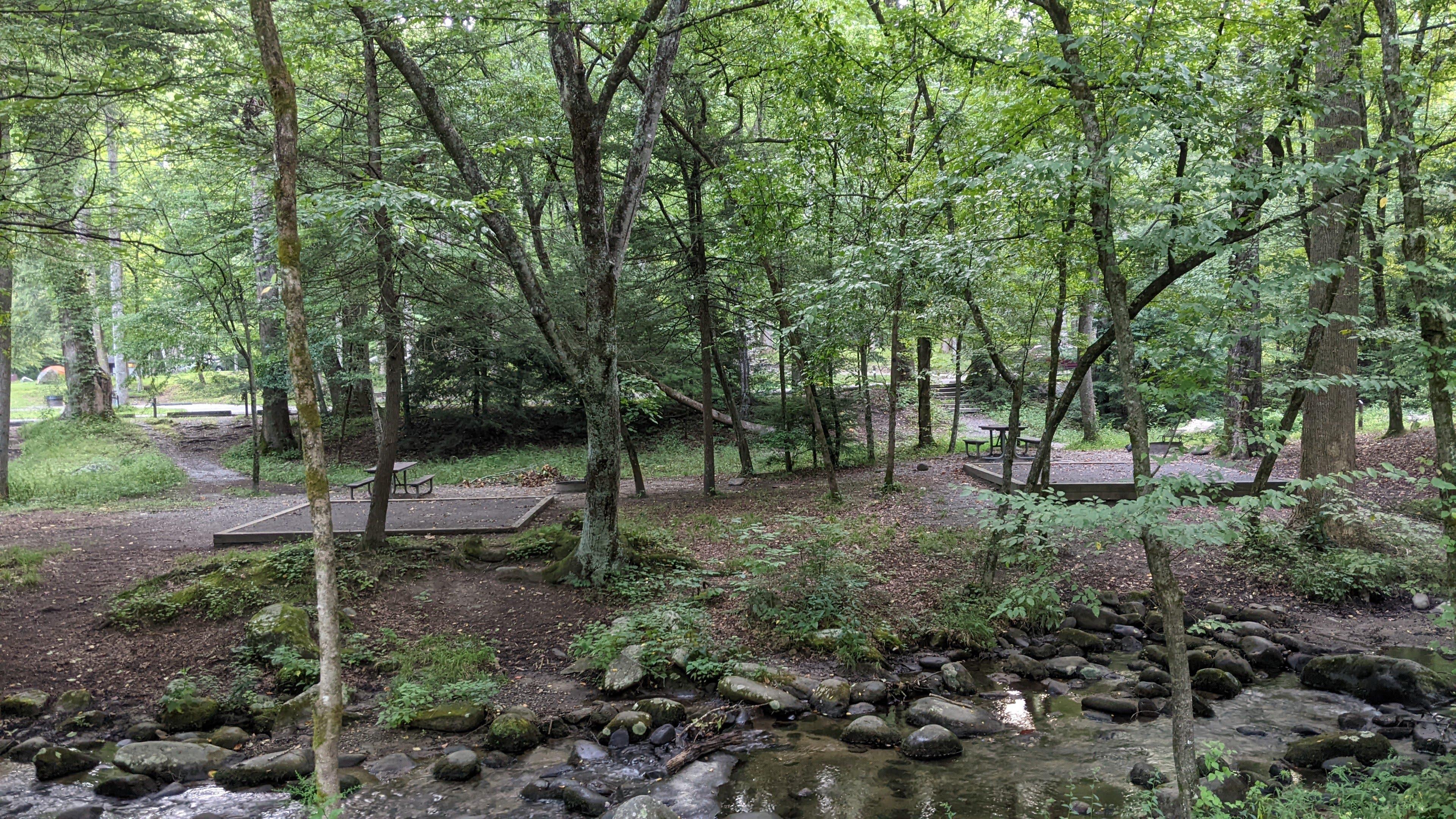 Two campsites separated by trees with a creek in the foreground.