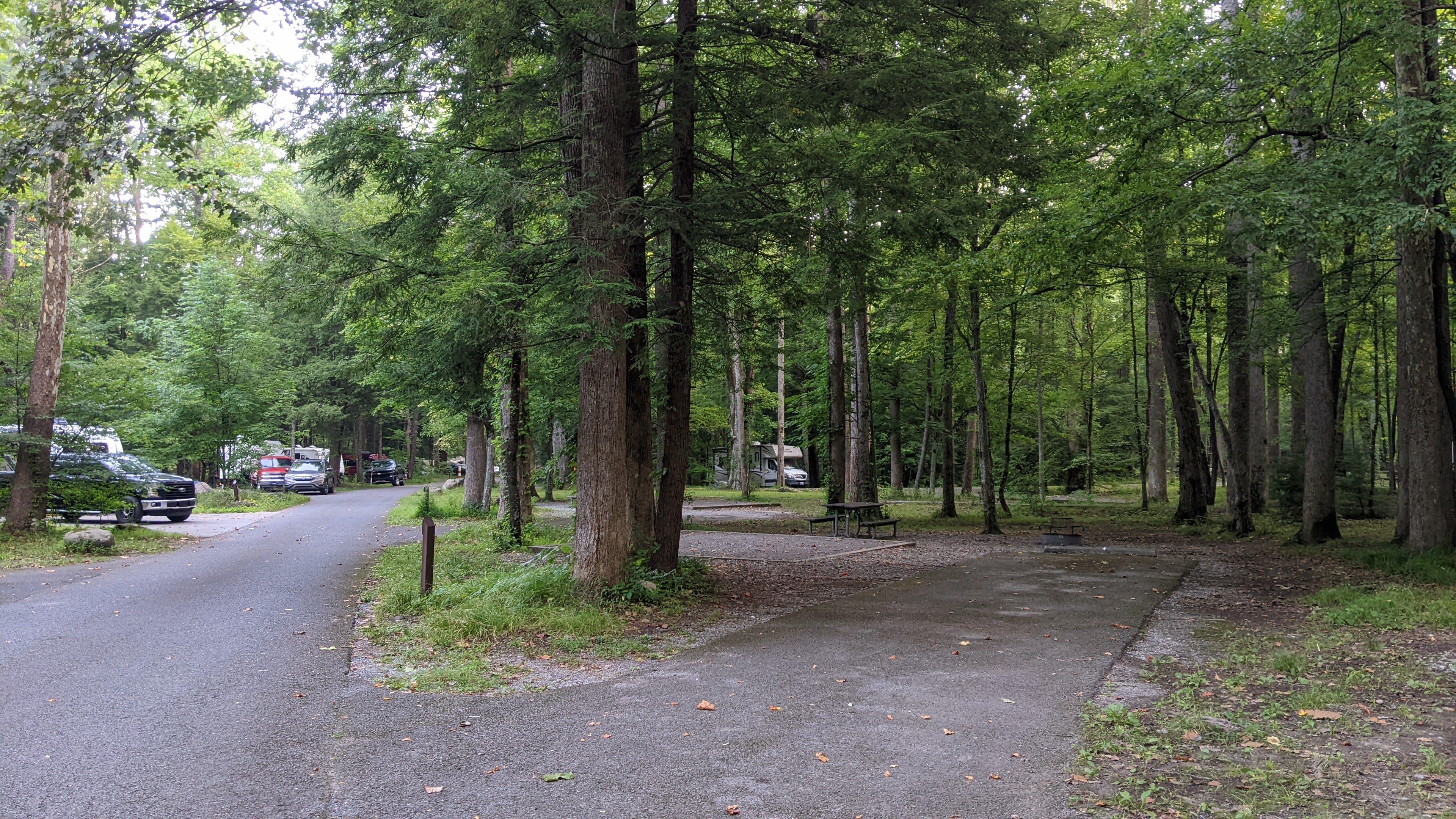 A paved driveway, fire ring, picnic table, and tent pad surrounded by trees and near other sites.