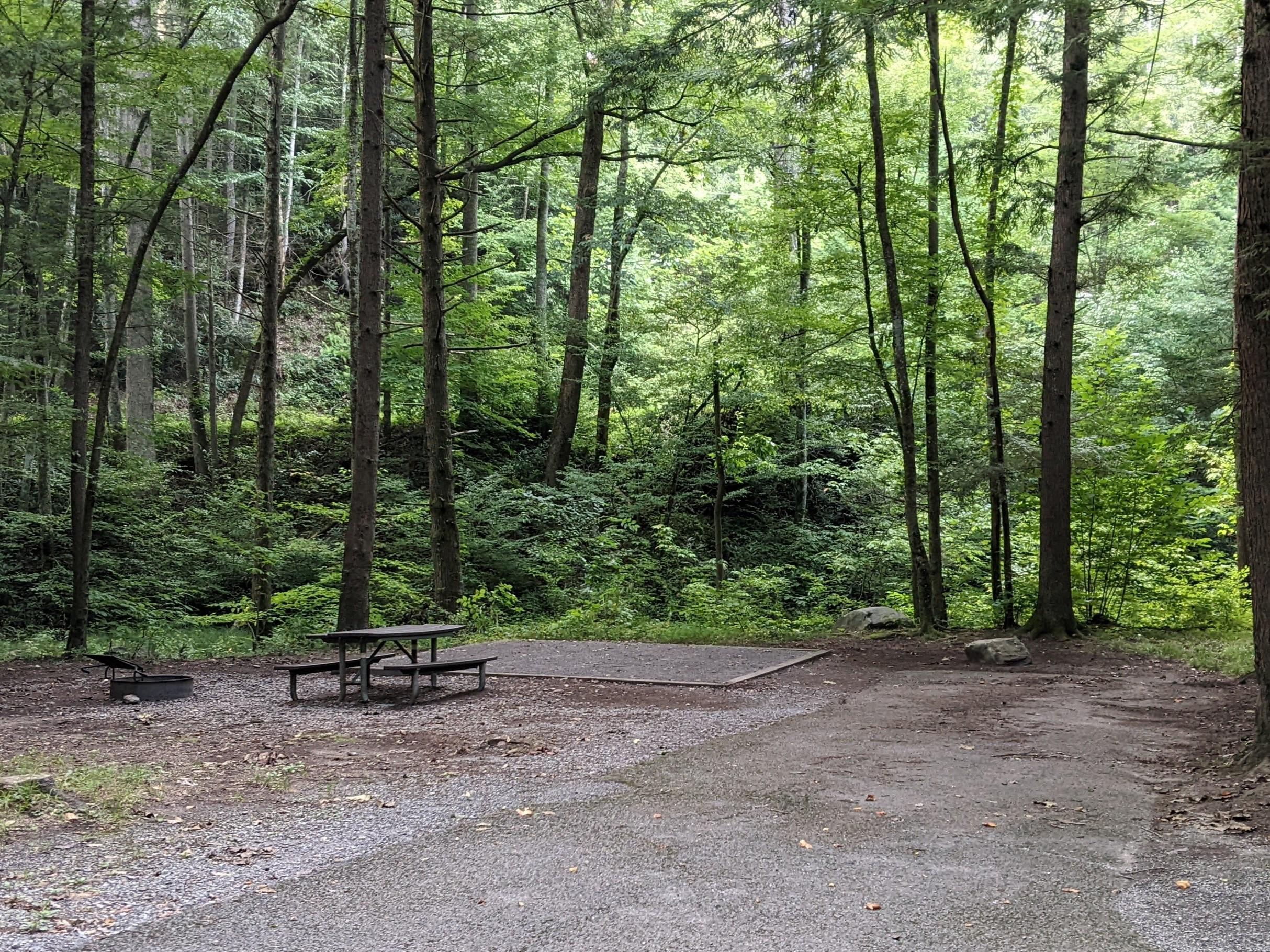 A paved driveway, fire ring, picnic table, and tent pad along the forest's edge.
