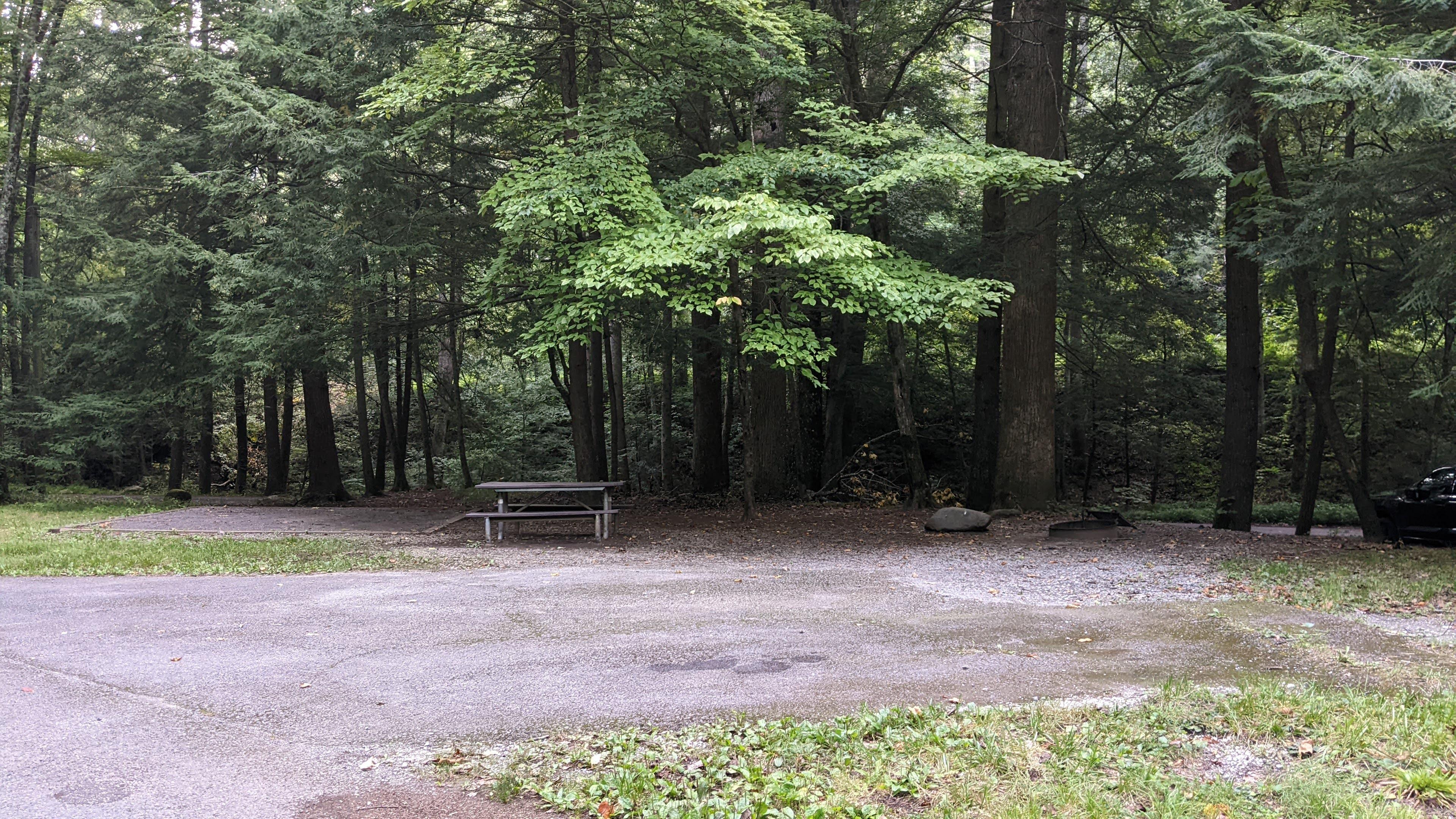 A paved driveway near a shaded picnic table, fire ring, and tent pad.