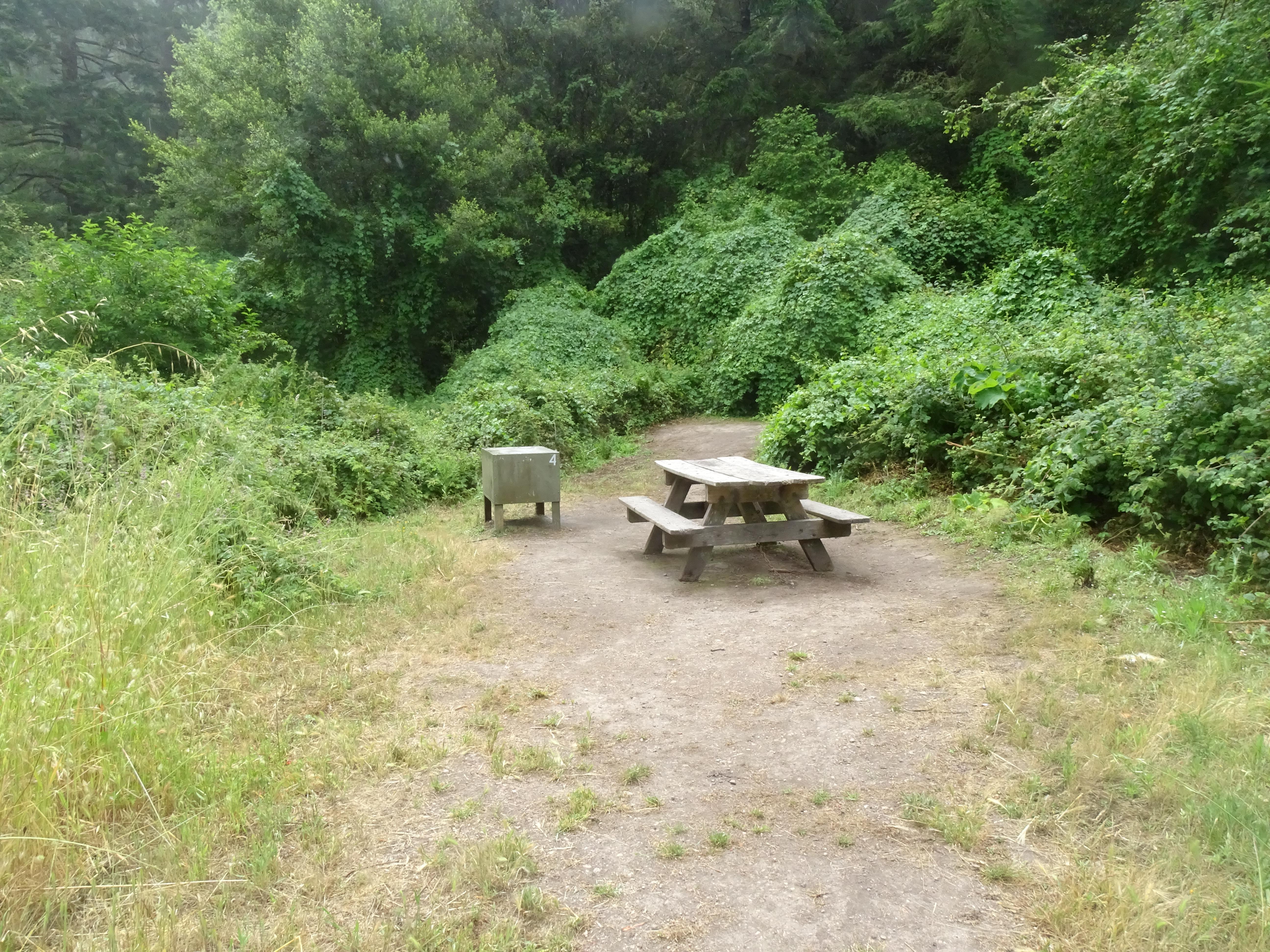 A campsite in the woods containing a picnic table and a food storage locker.