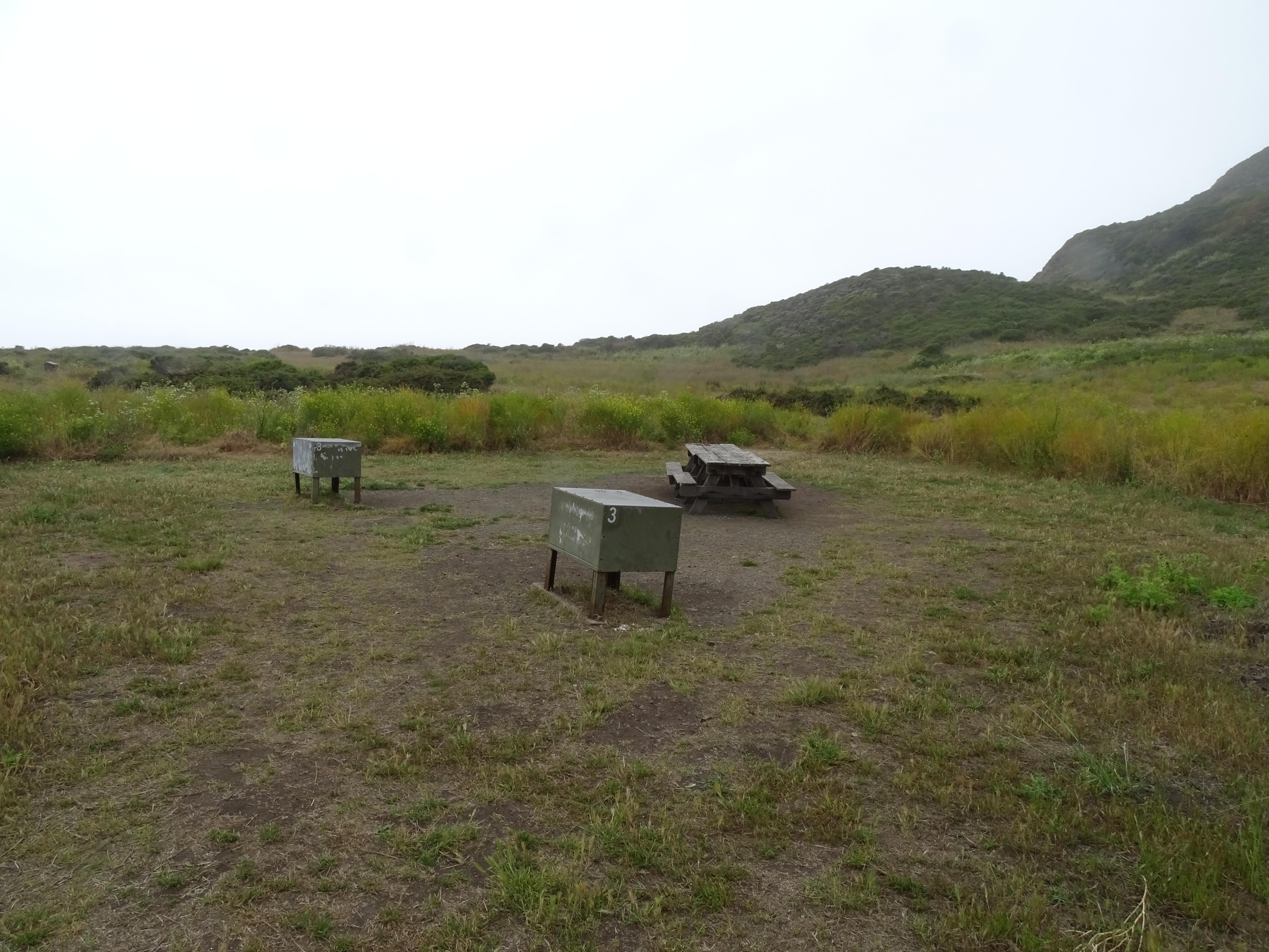 A campsite in a meadow containing two picnic tables and two food storage lockers.