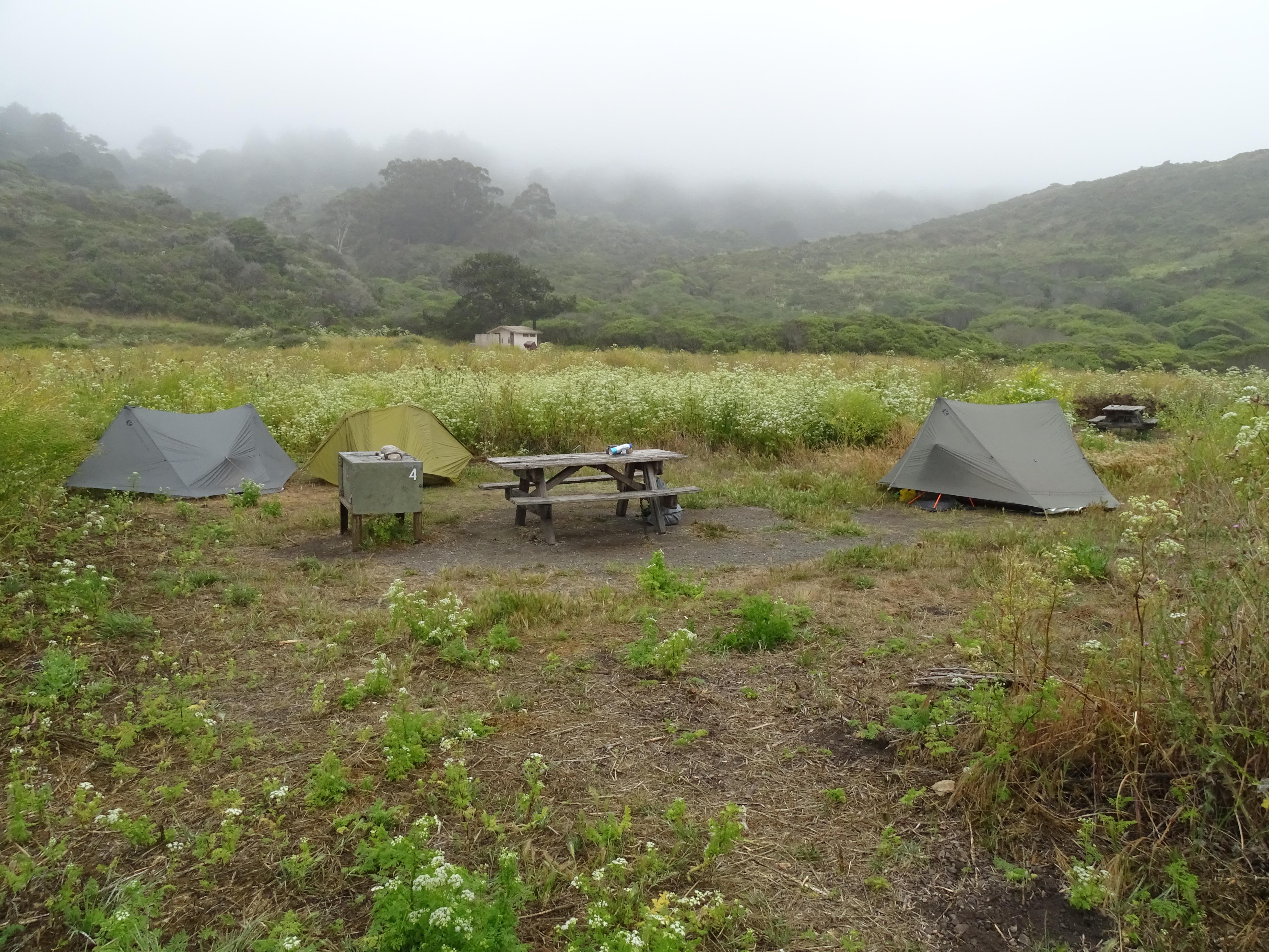 A campsite in a meadow containing a picnic table, a food storage locker, and three small tents.