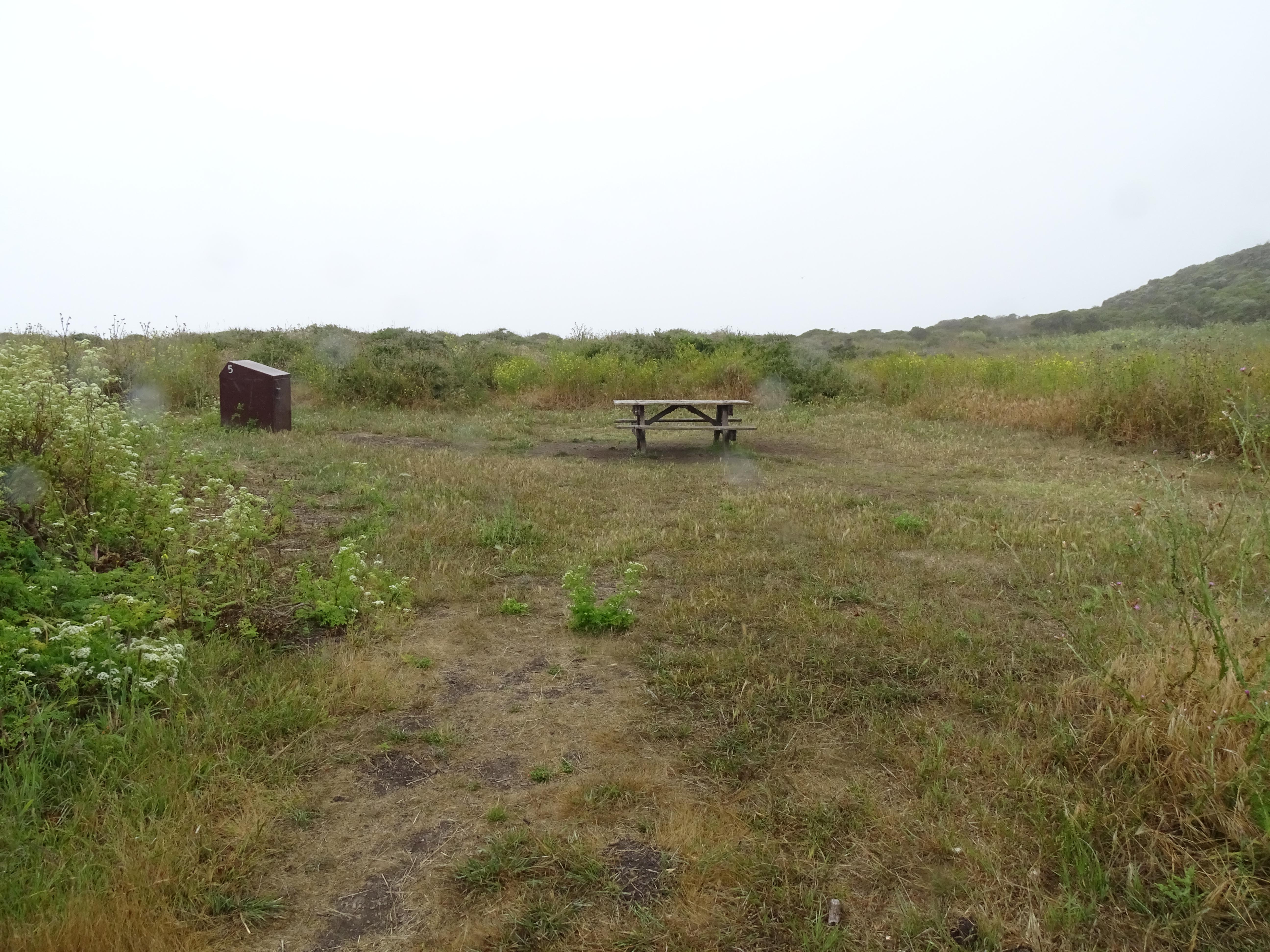 A campsite in a meadow containing a picnic table, a food storage locker.