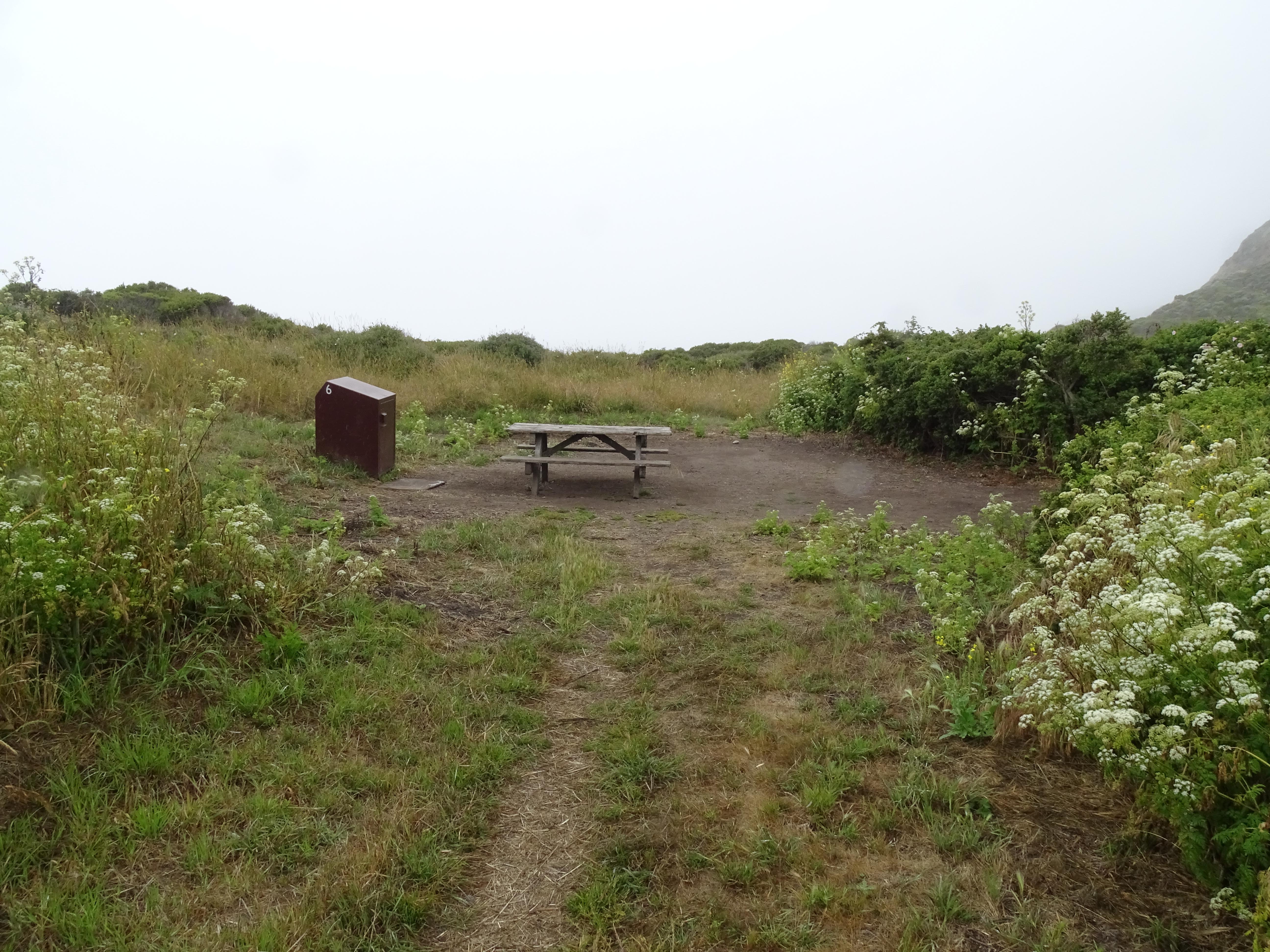 A campsite in a meadow containing a picnic table, a food storage locker.