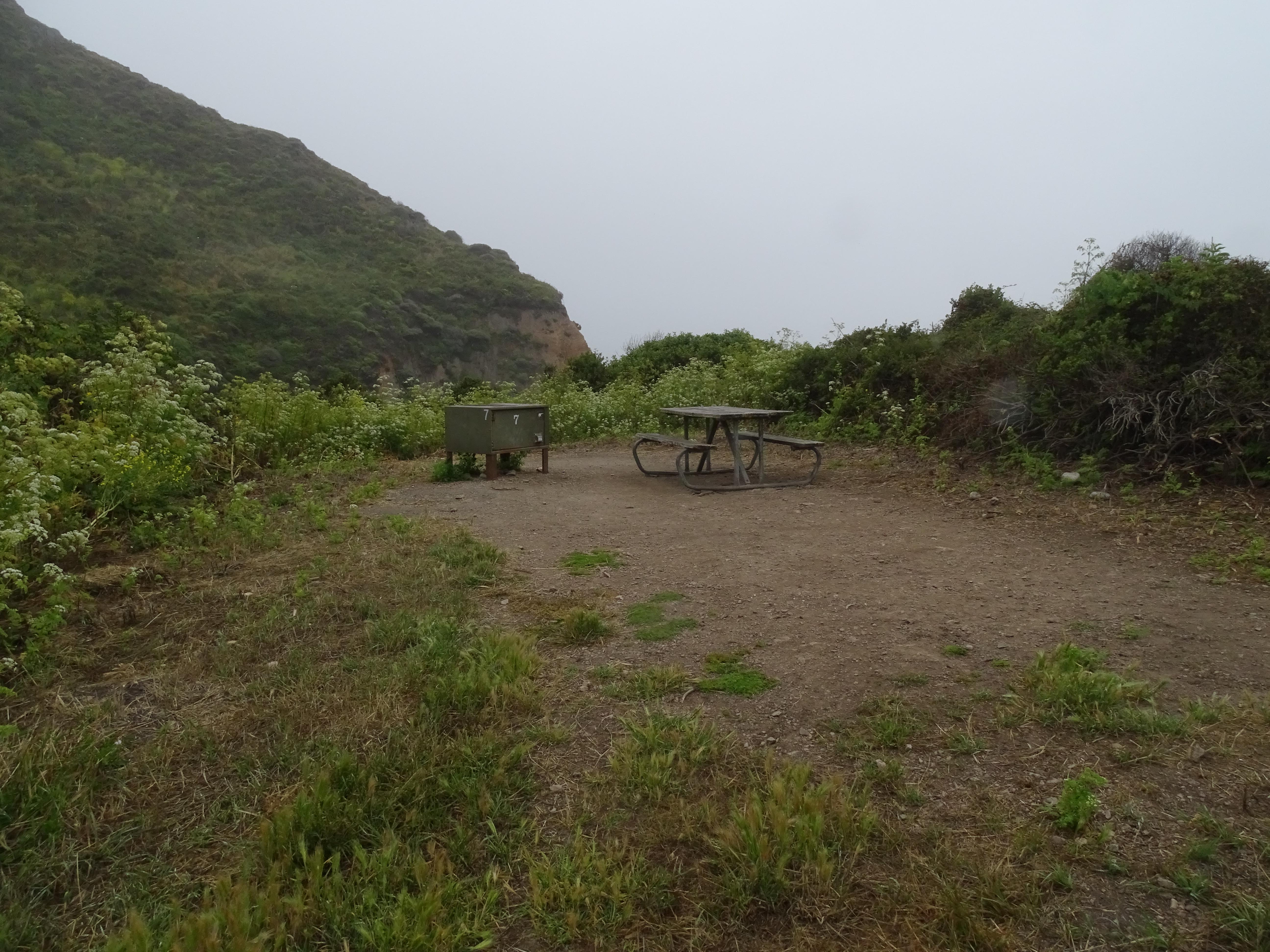 A campsite in a meadow containing a picnic table, a food storage locker.