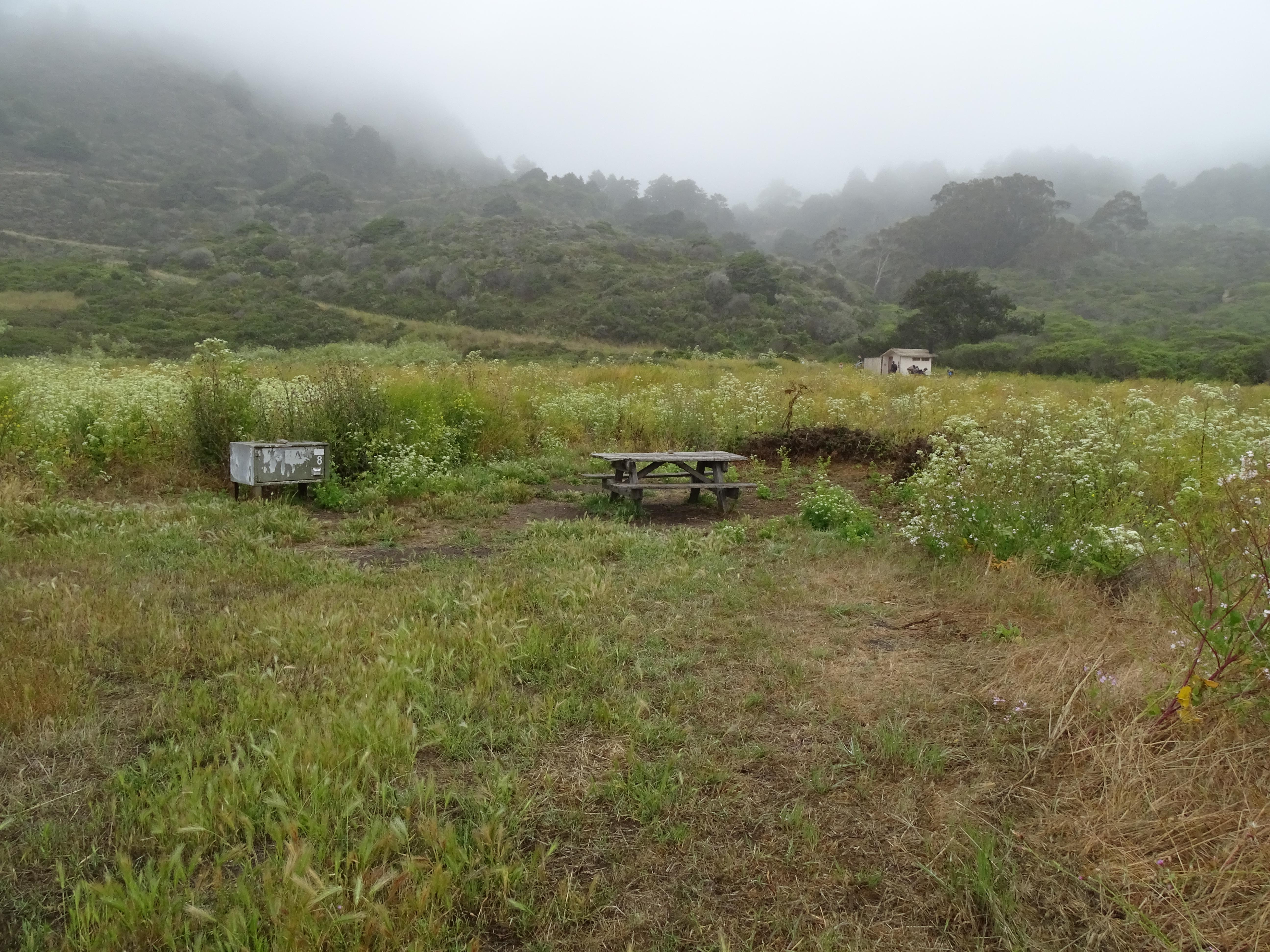 A campsite in a meadow containing a picnic table, a food storage locker.