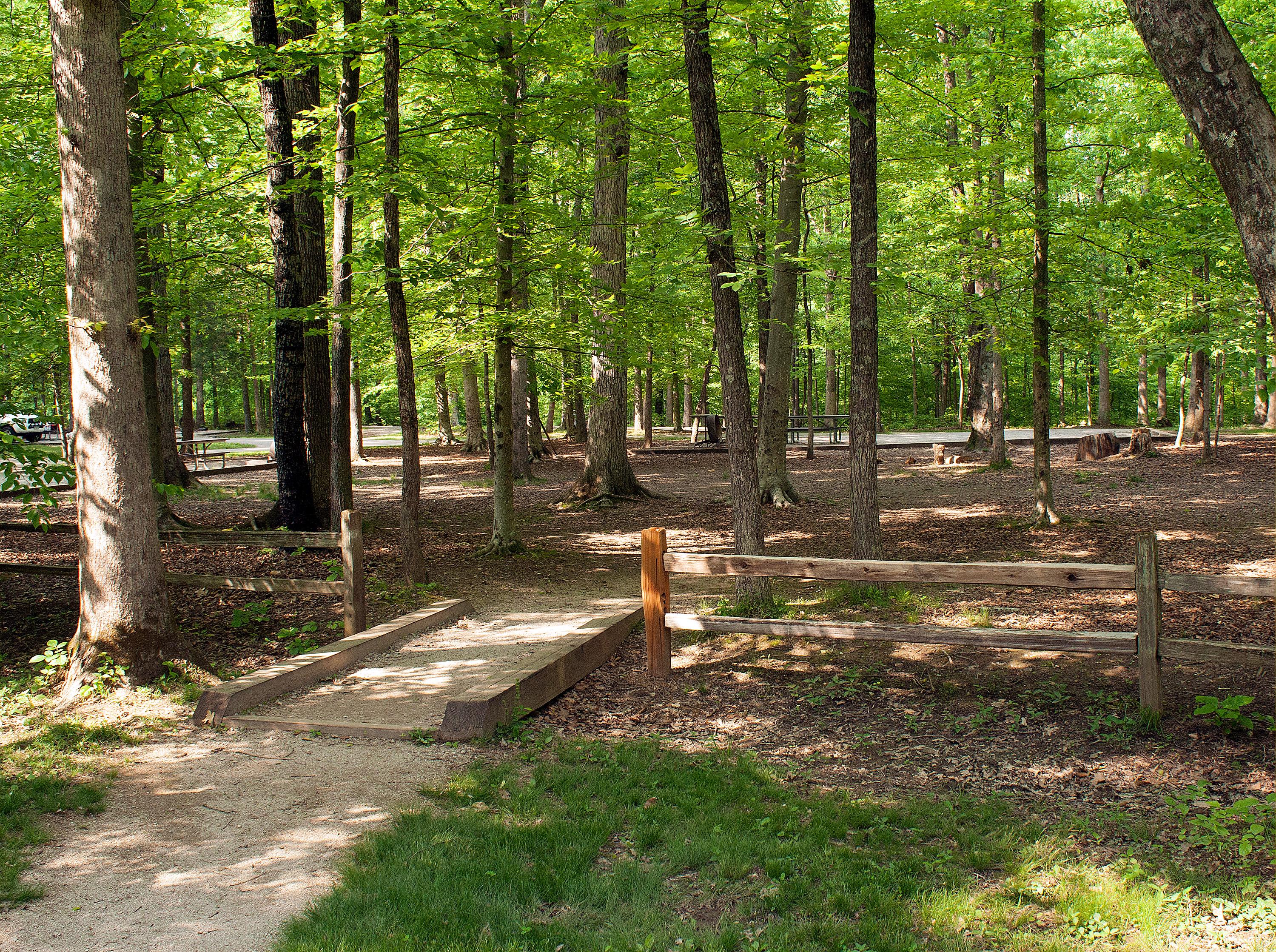 A pathway bordered by wooden rails imparts a rustic setting.
