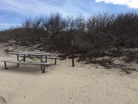 Oceanside walk-in site