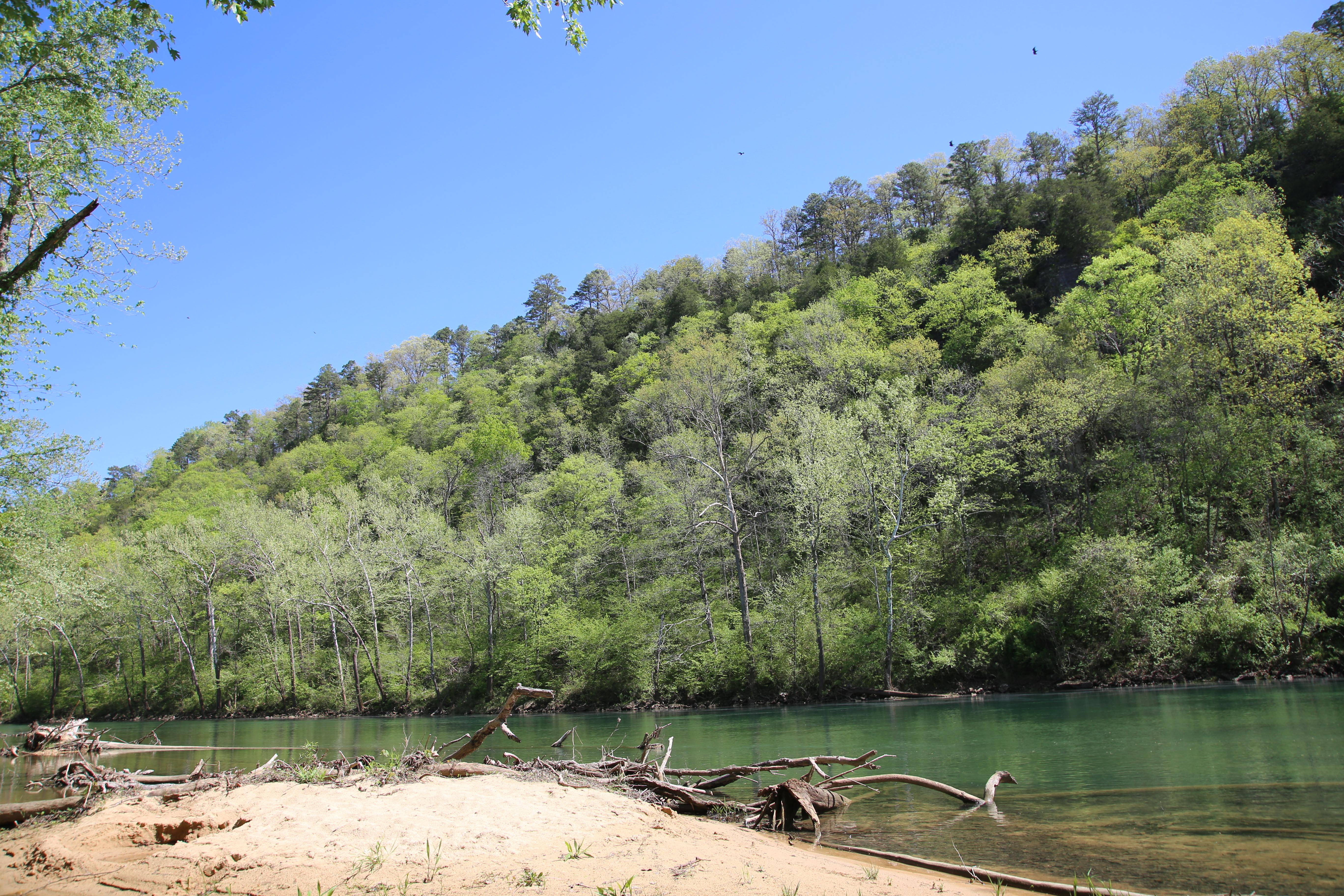 A wide, blue river with lush green trees along the hillside.