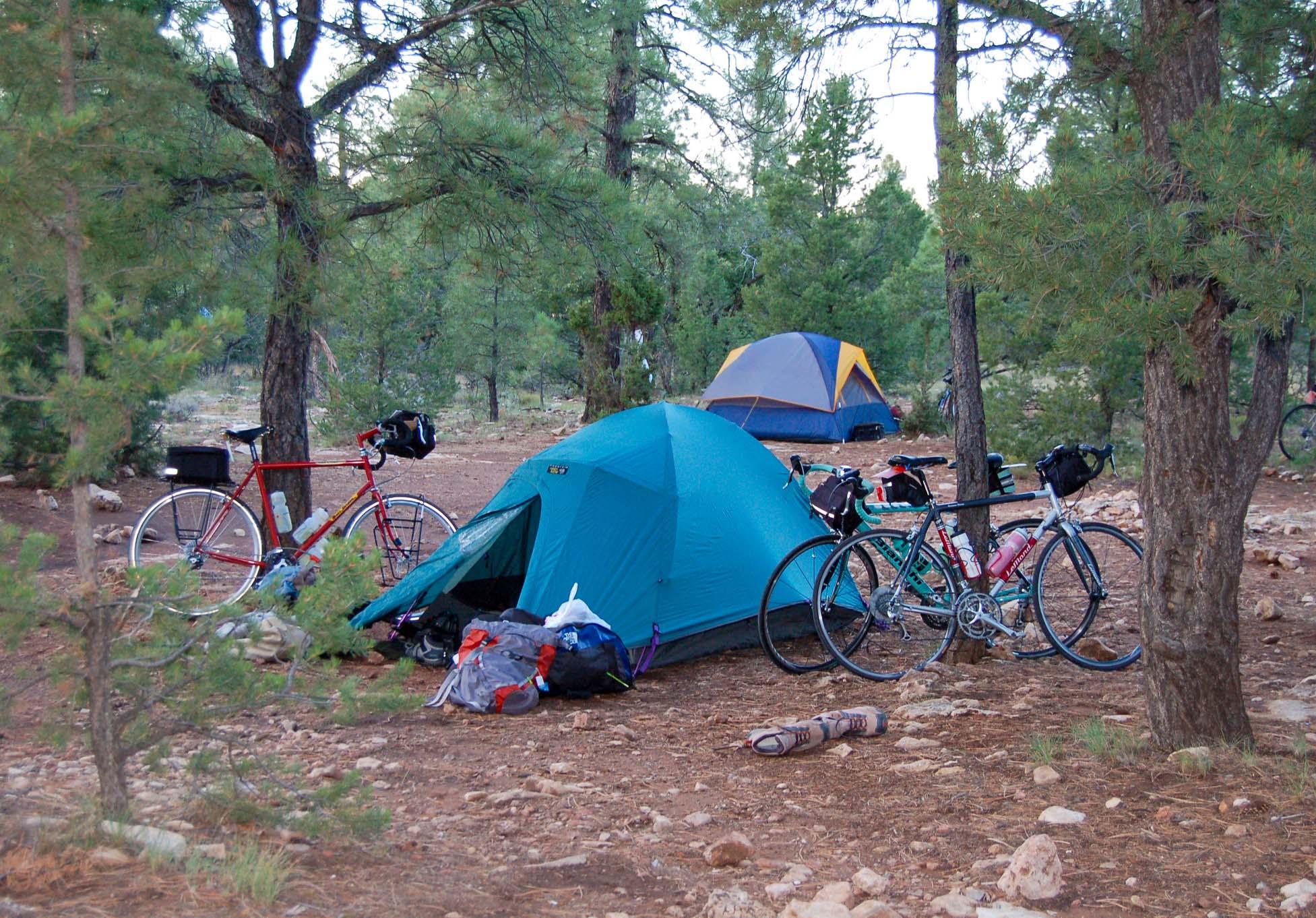 several tents in a group campsite with touring bicycles.