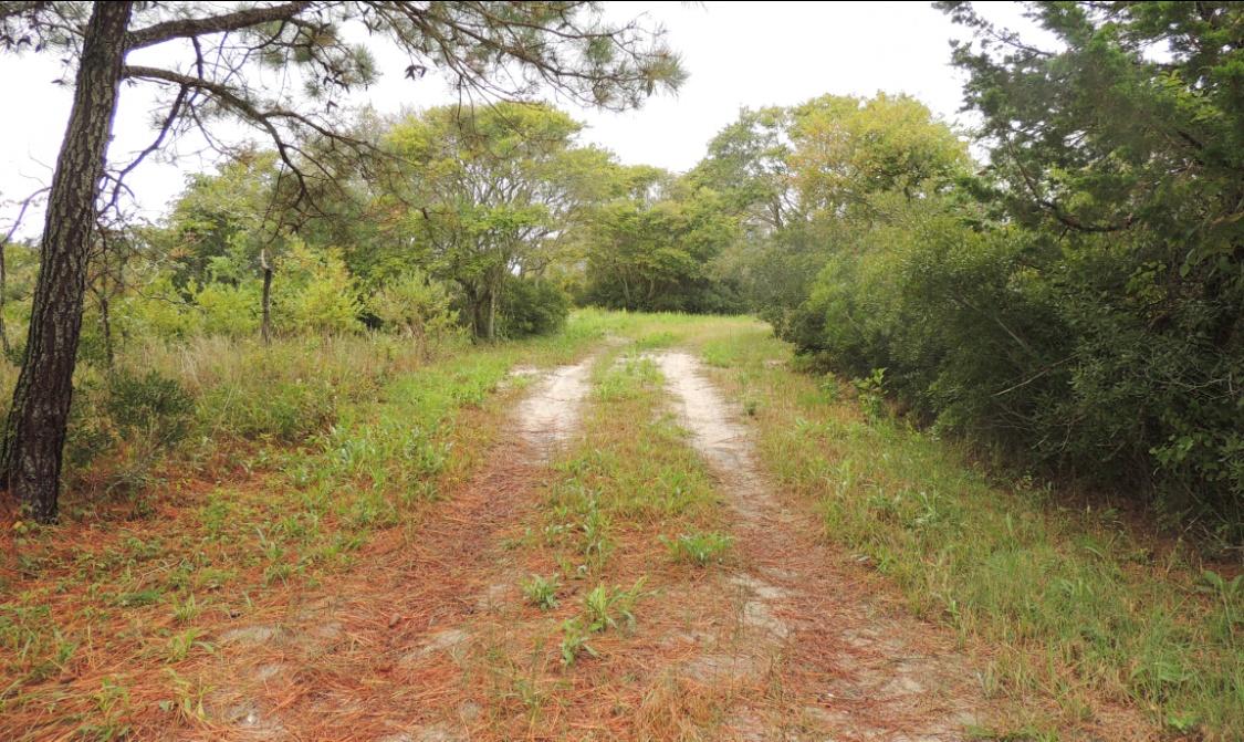 Pope Bay Access Road