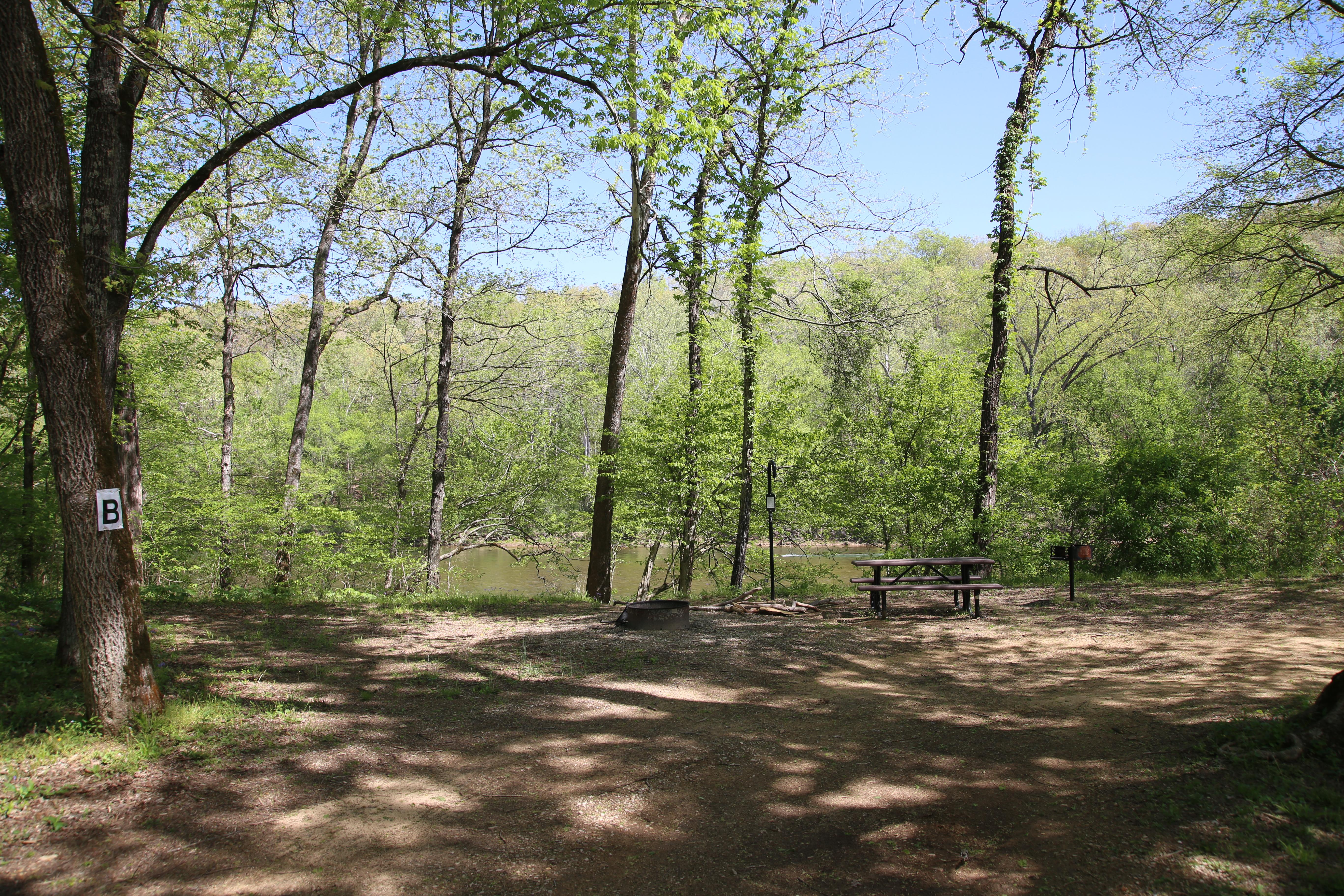 A campground with dirt and grass. Trees hang overhead.