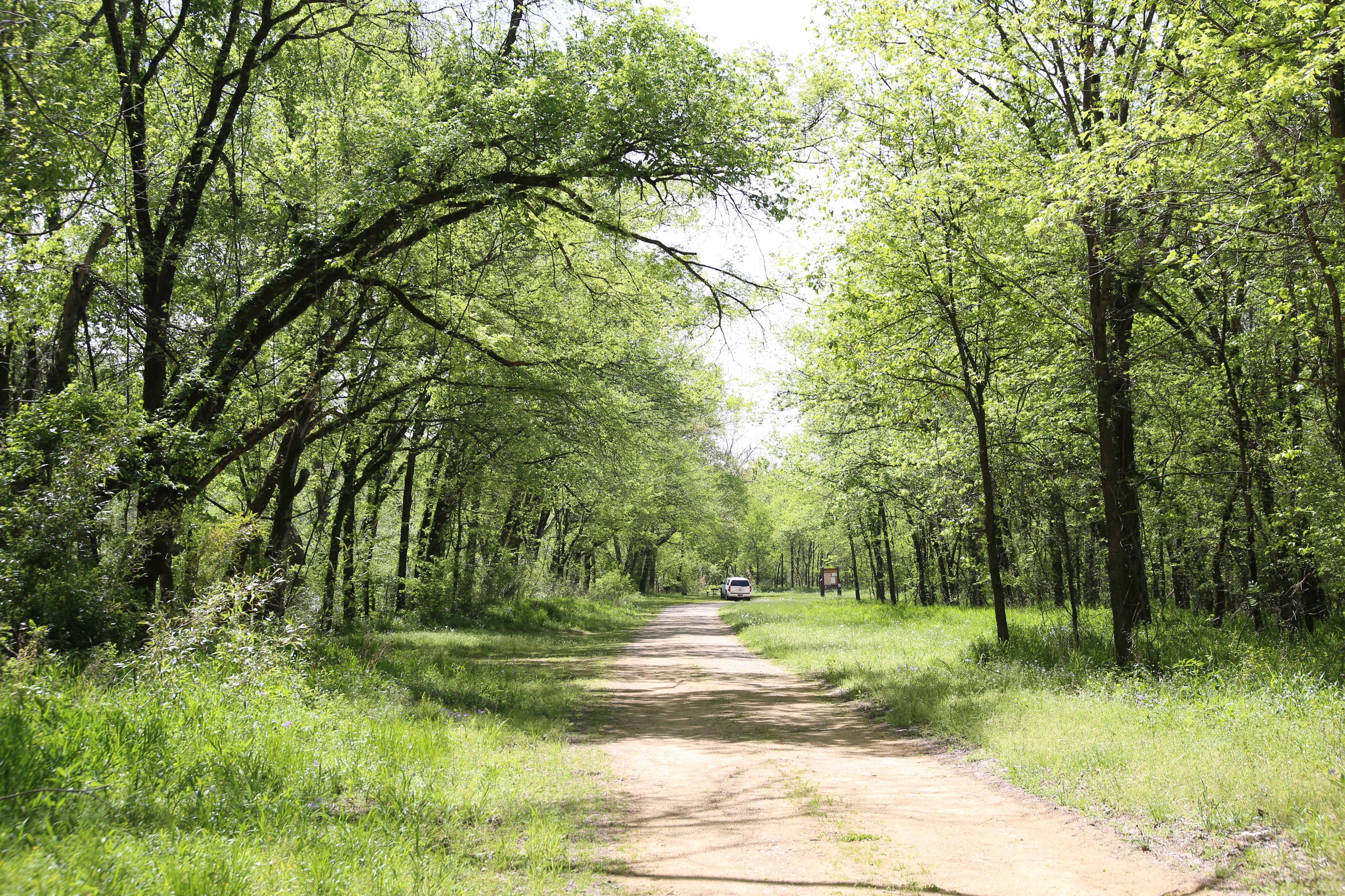 A dirt/gravel road with green trees on either side.