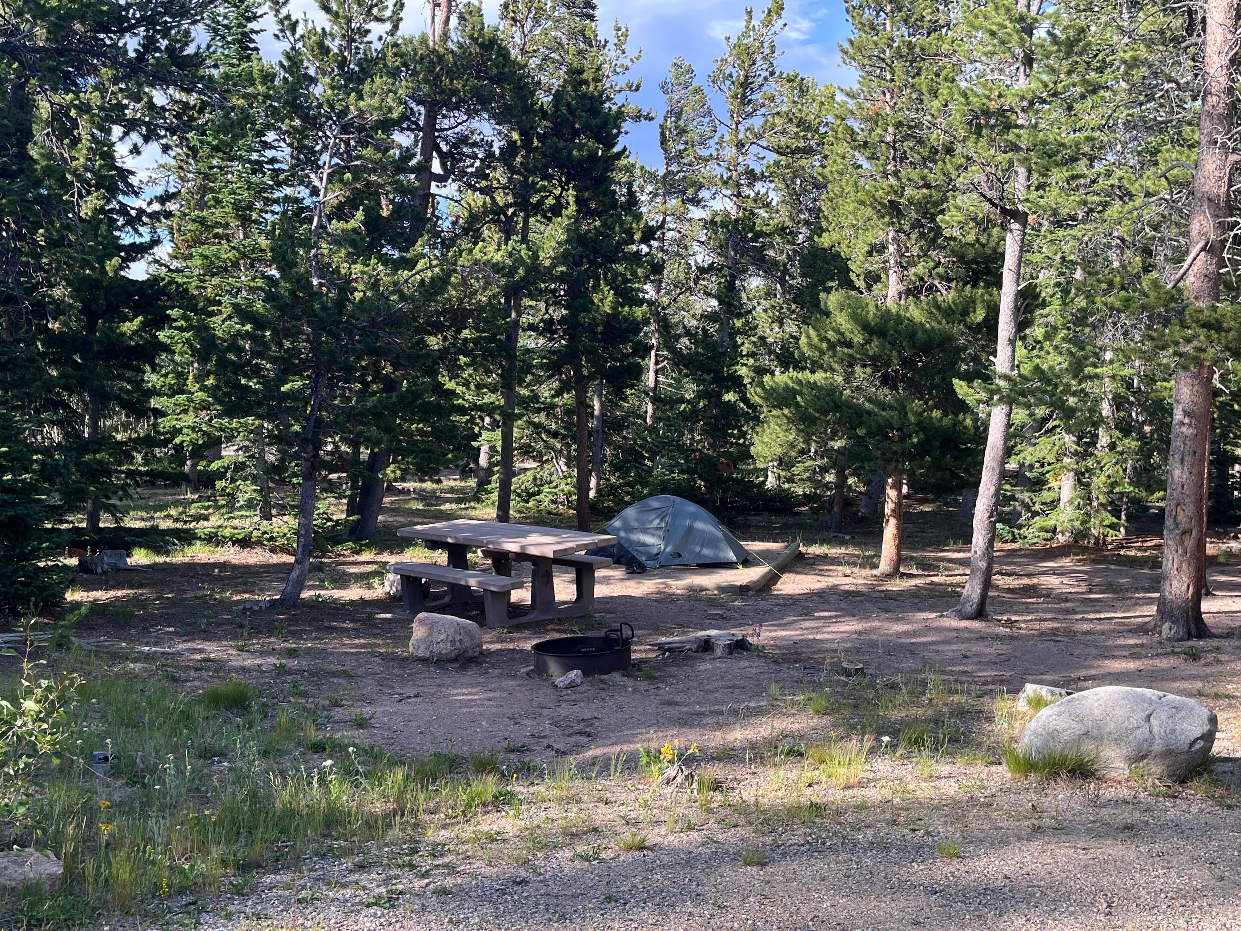 Campsite with a tent set up in Longs Peak Campground