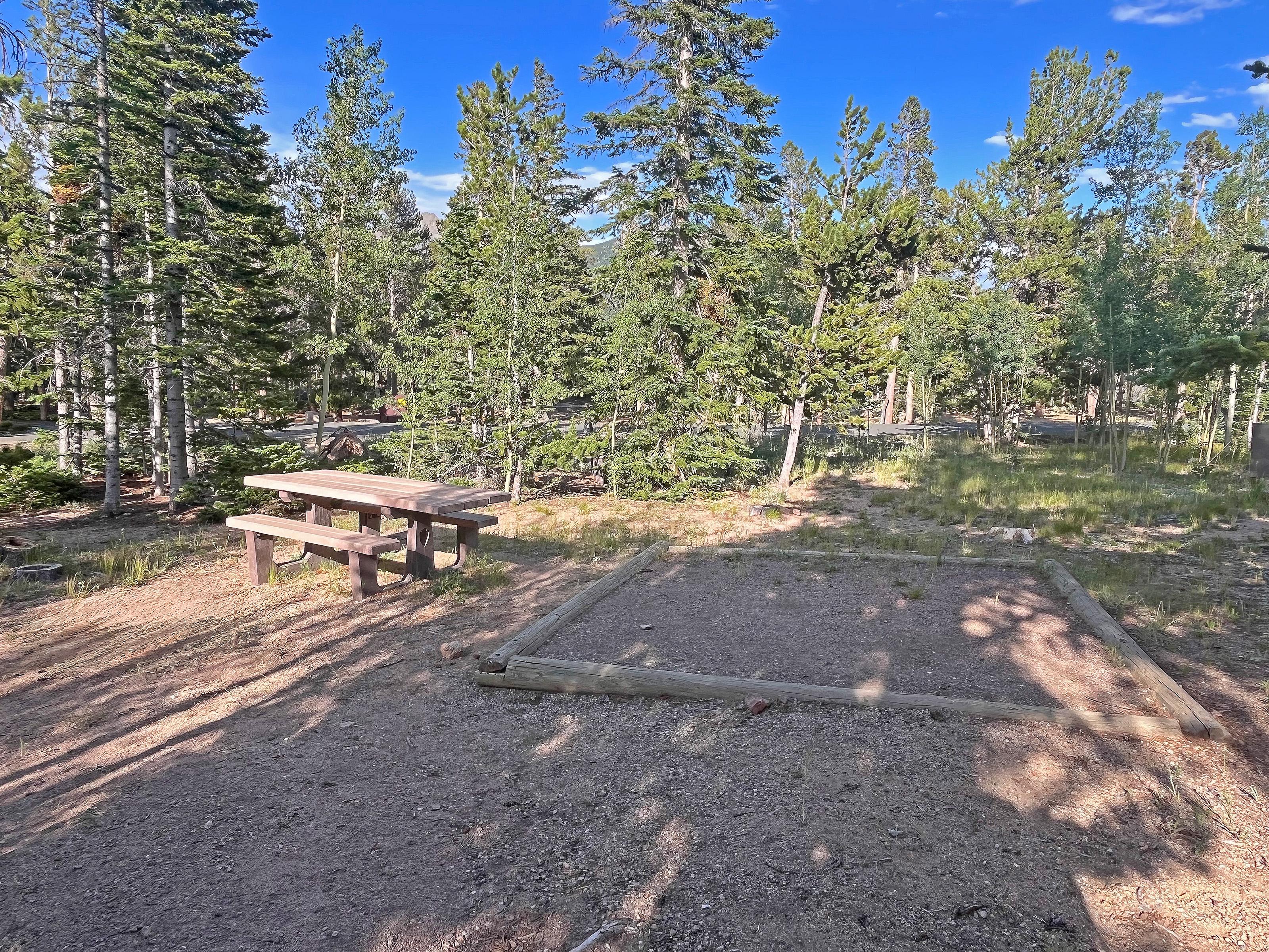 Tent Pad and Picnic Table at a Campsite in Longs Peak Campground