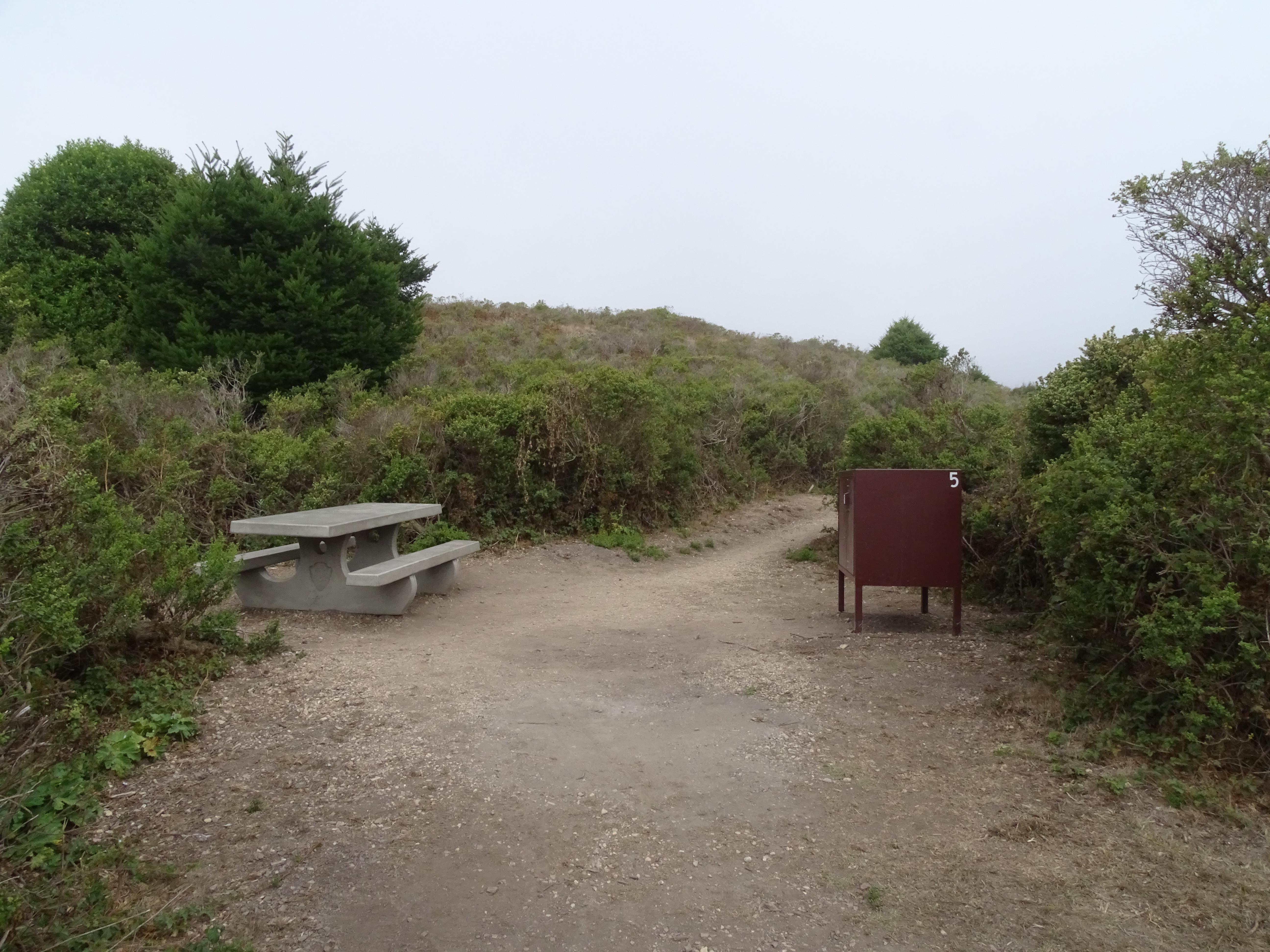 A campsite containing a picnic table and a food storage locker surrounded by shrubs.