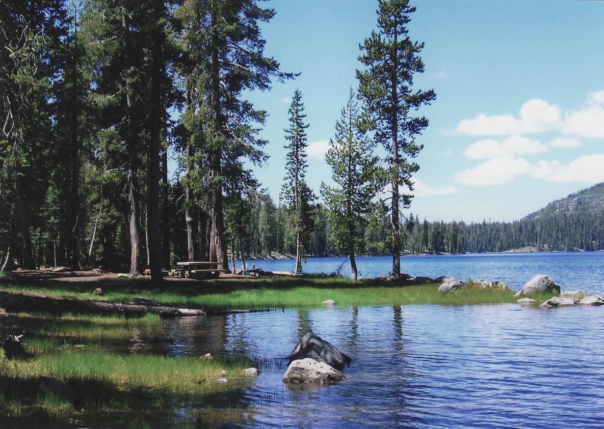 A picnic table in conifer trees near the grassy shore of a mountain lake.