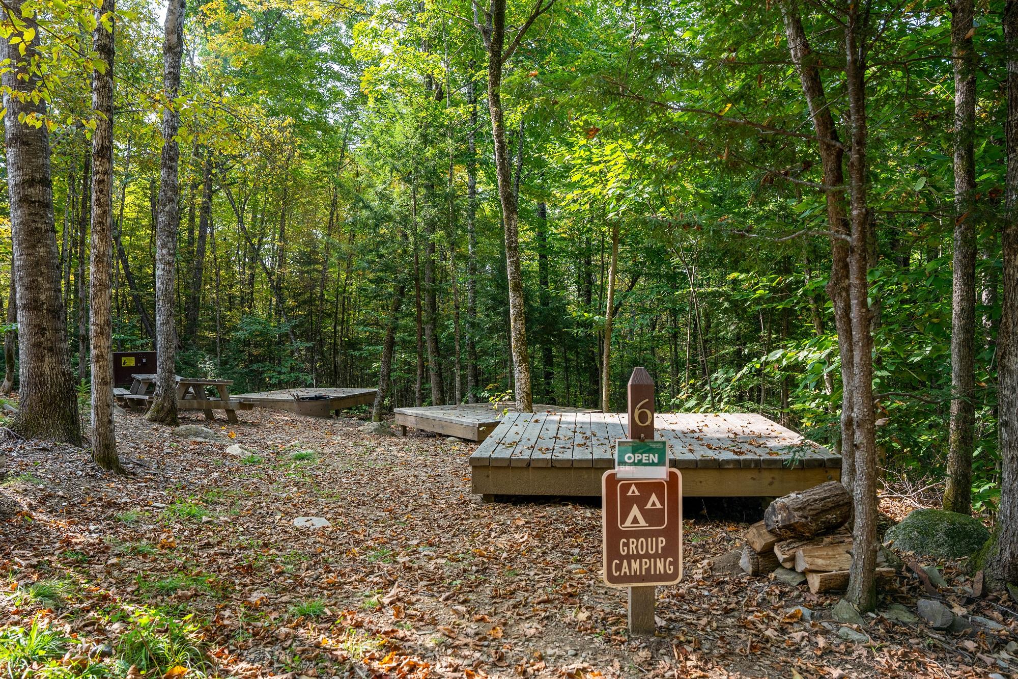 A group campsite with 3 platforms, metal fire ring, picnic table, and bear box within a forest.