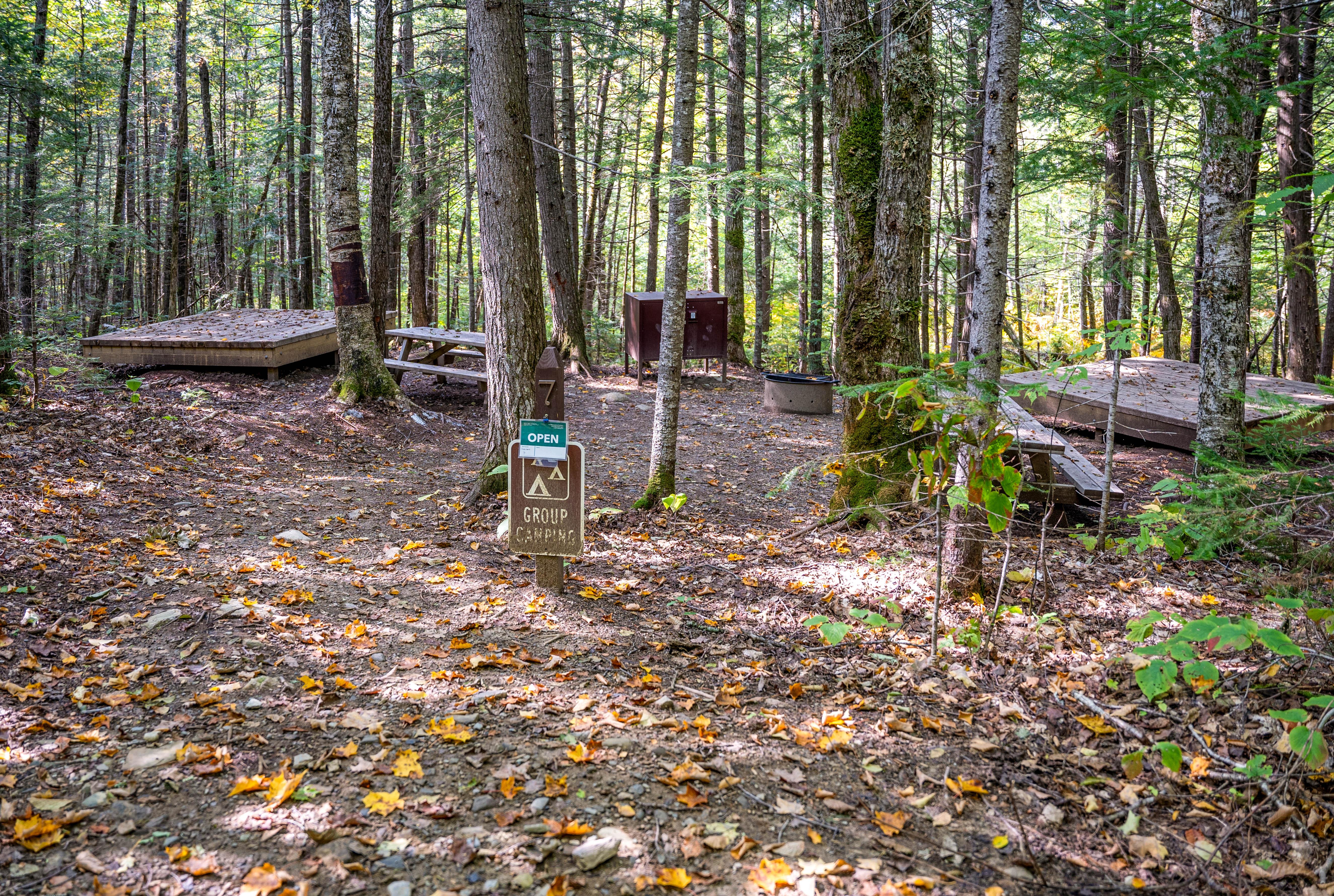 A group campsite with 3 platforms, metal fire ring, picnic table, and bear box within a forest.