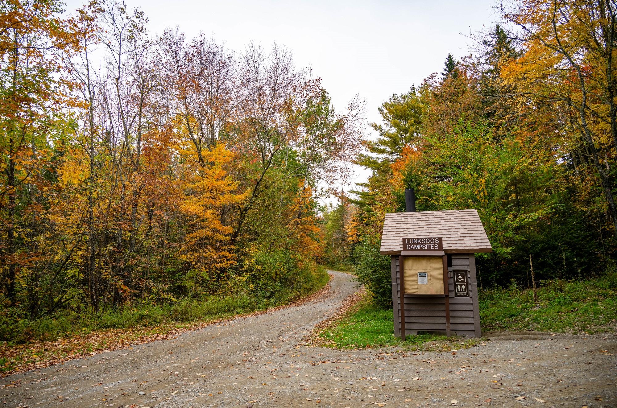 A gravel road travels through a forest with colorful leaves on an overcast day.