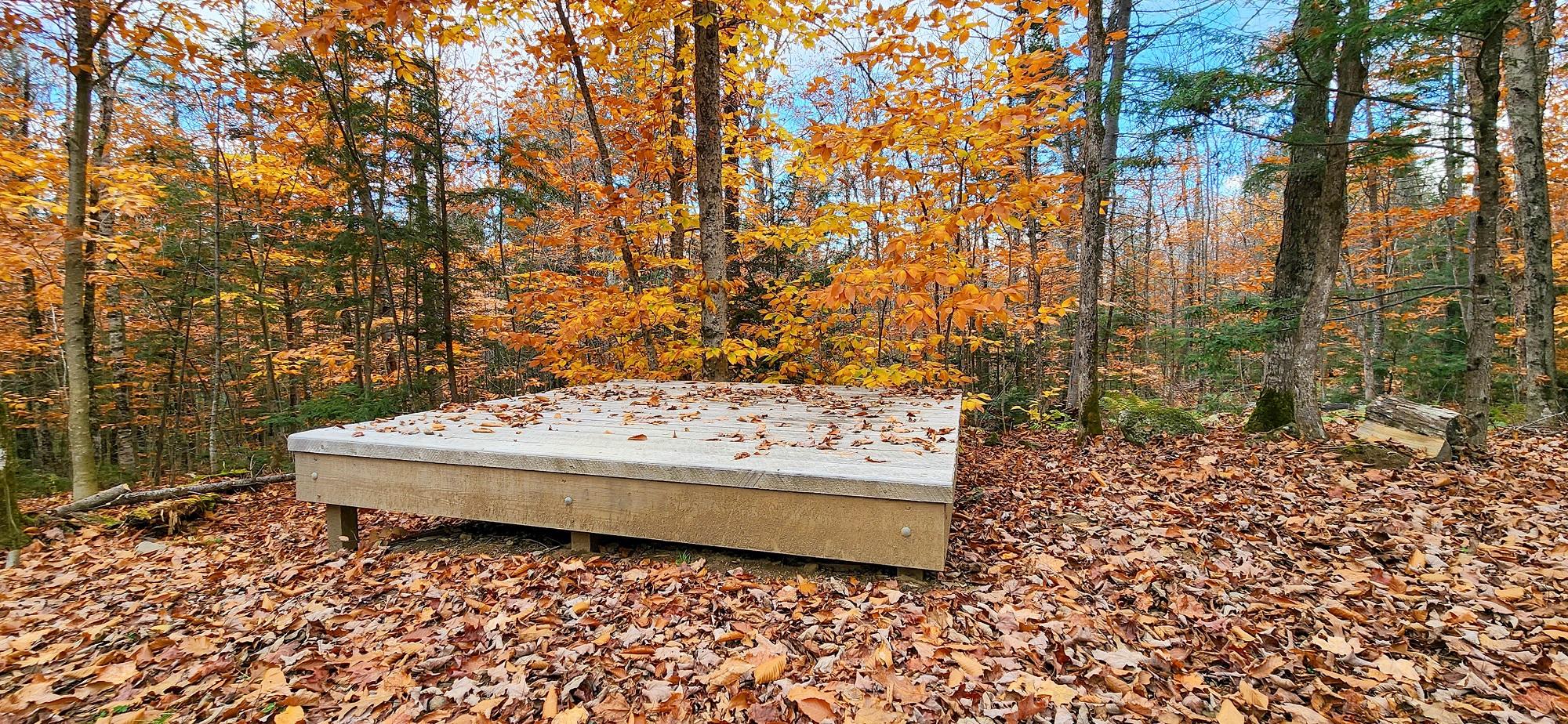 A raised square wooden platform above a ground covered with fallen leave. It is a fall day.