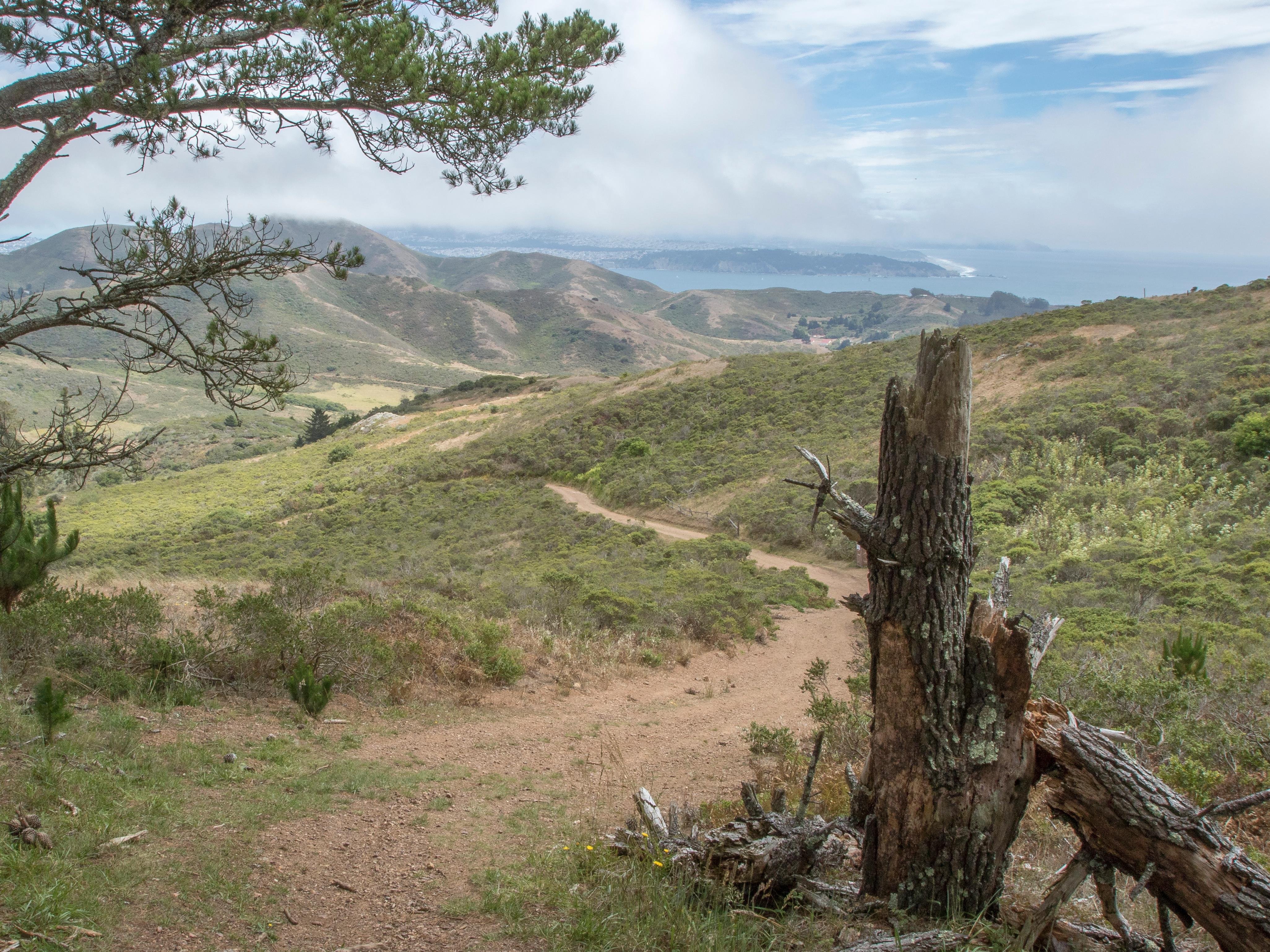 A trail winds its way along a ridge line next to a jagged stump under cloudy, blue skies.