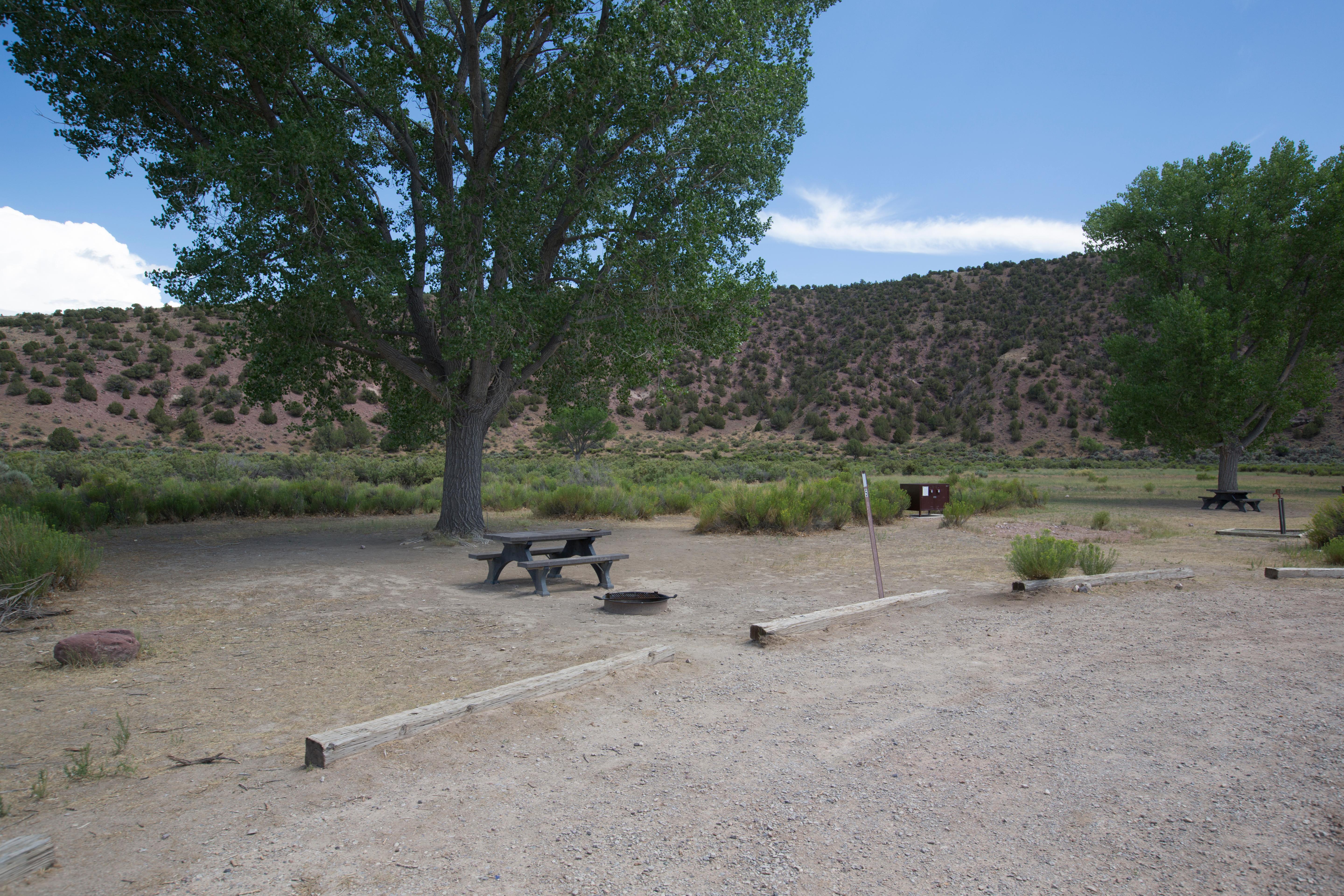 Picnic table and tree in campsite