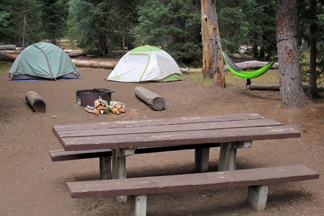 Campsite with picnic table, fire ring and wood, two small tents, and a hammock hung between trees