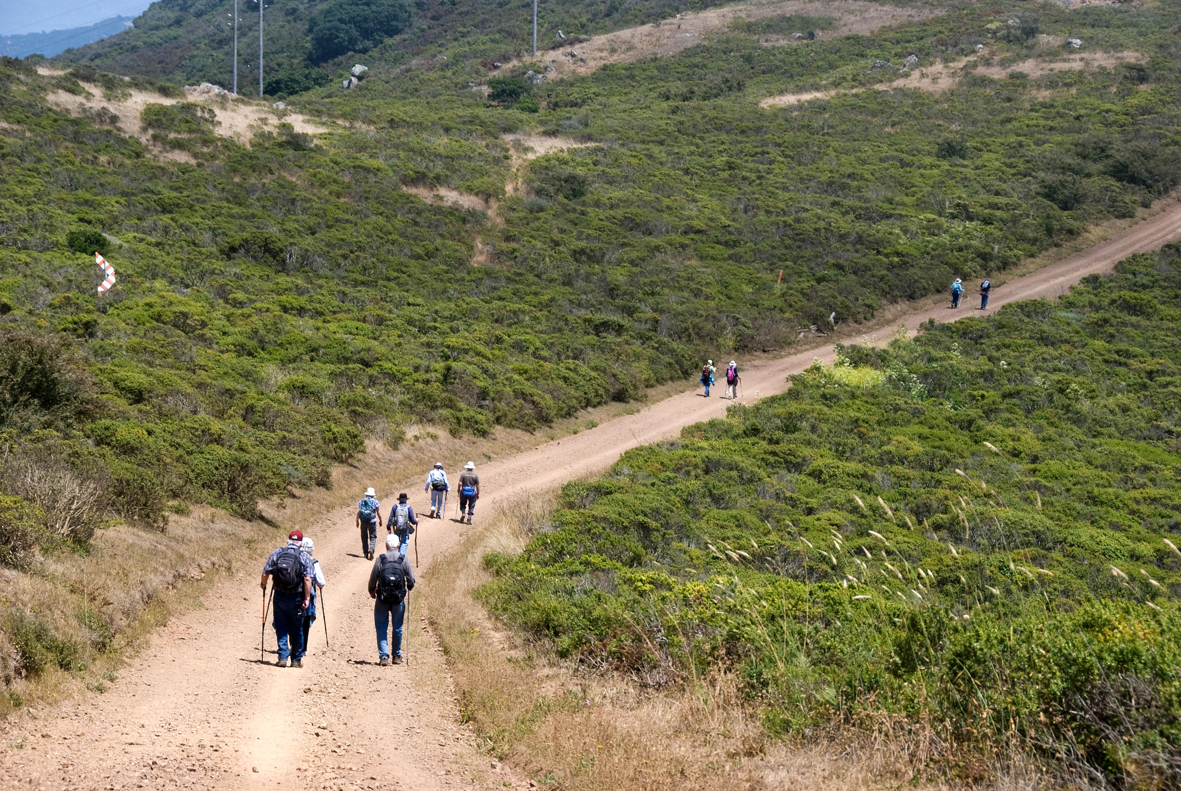 Hikers walk along the trail that winds its way up a hill with green scrub plants on either side.