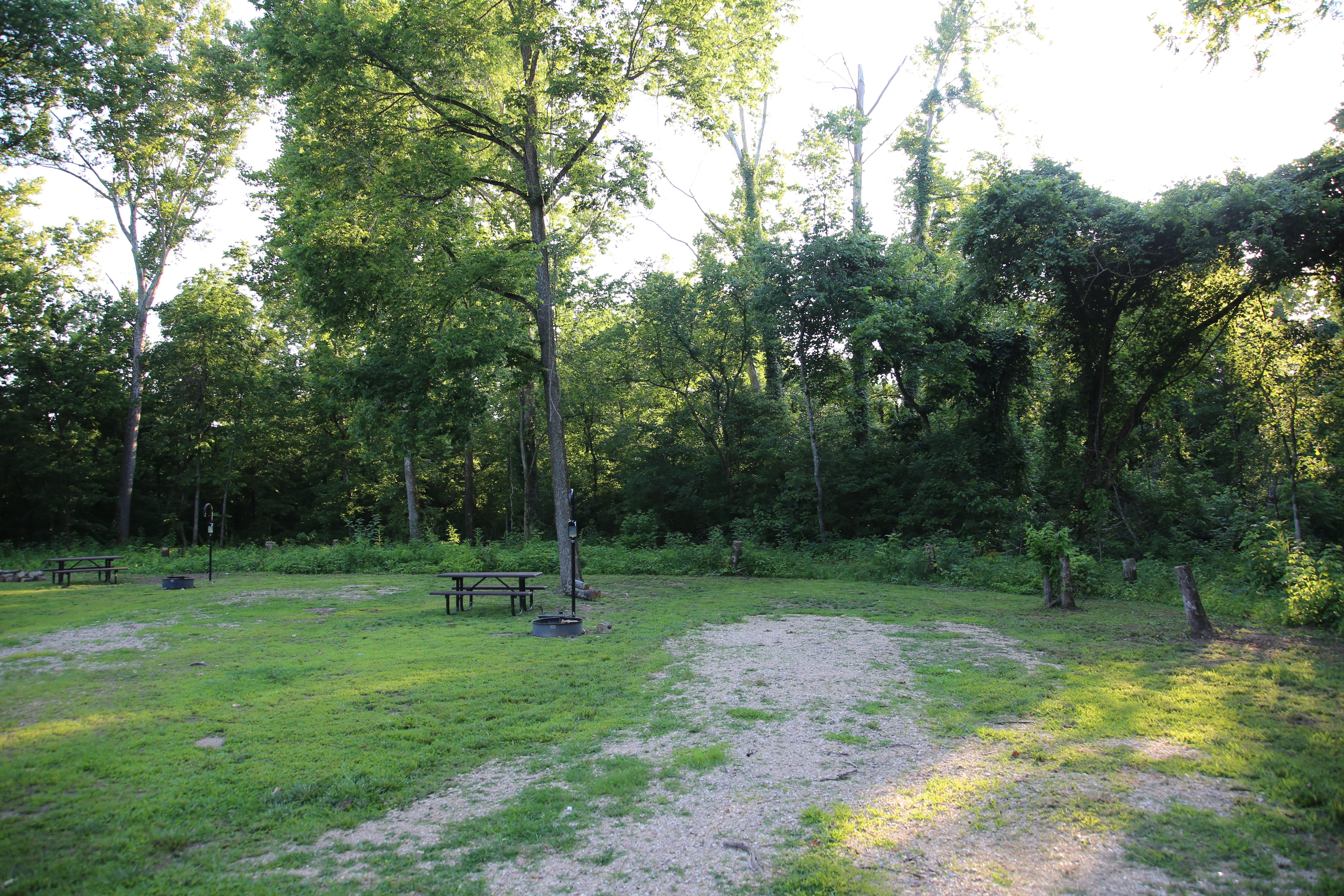 A campsite with lush green vegetation, dappled shade, and basic amenities.