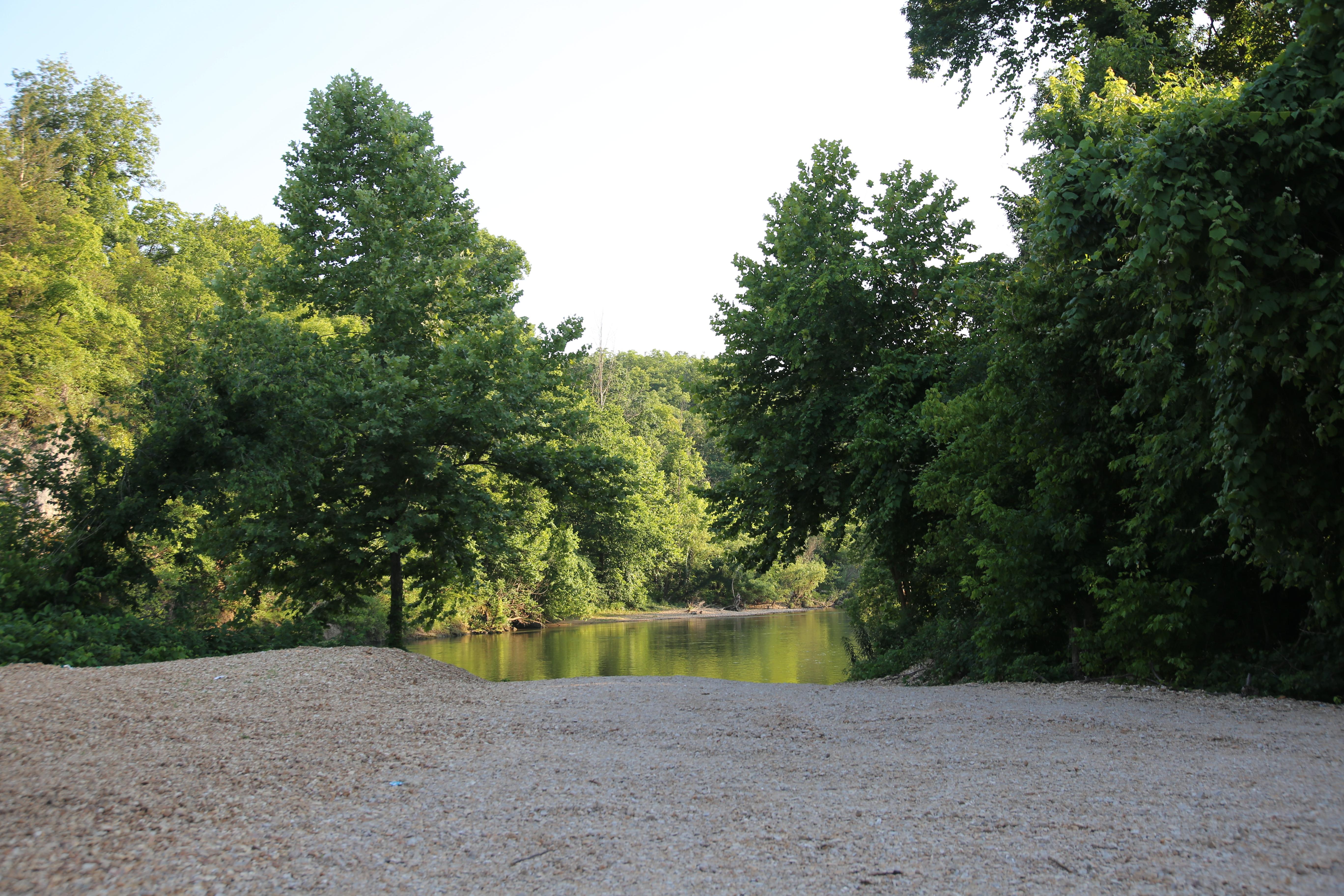 A gravel bar descends towards the water's edge. Trees hang overhead.
