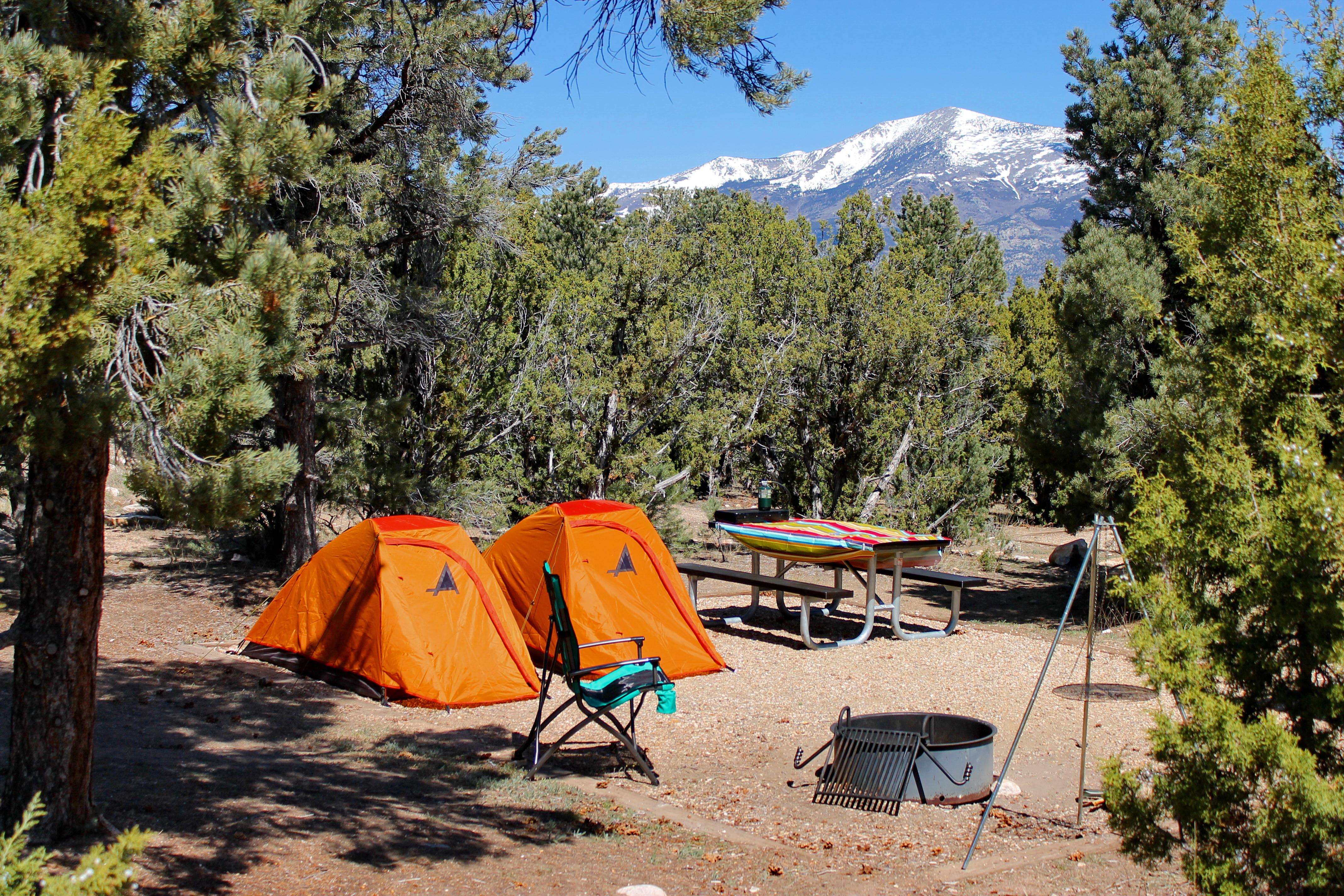 Orange tents, fire ring, and picnic table, in a campsite at Smoky Mountain Campground.