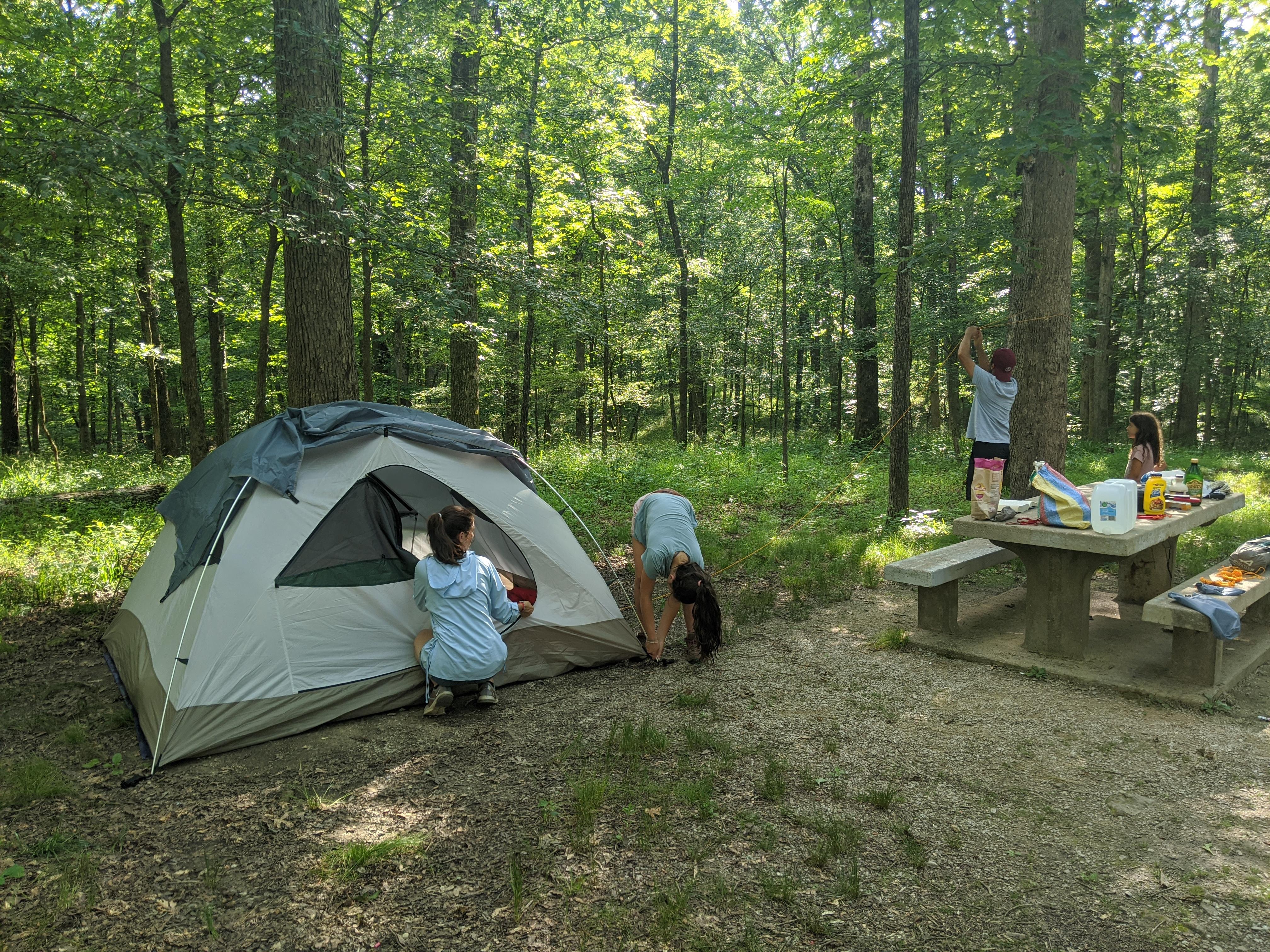 Mammoth Cave Campground