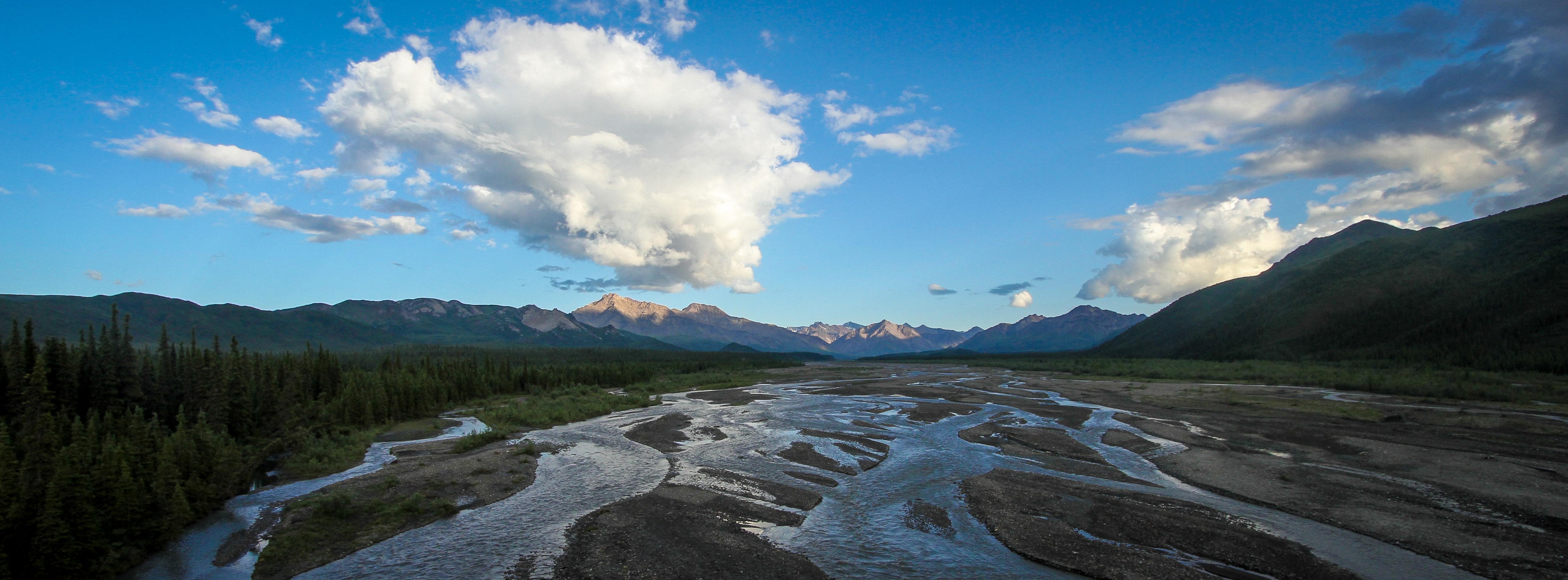 a wide, braided river flowing past forests and mountains