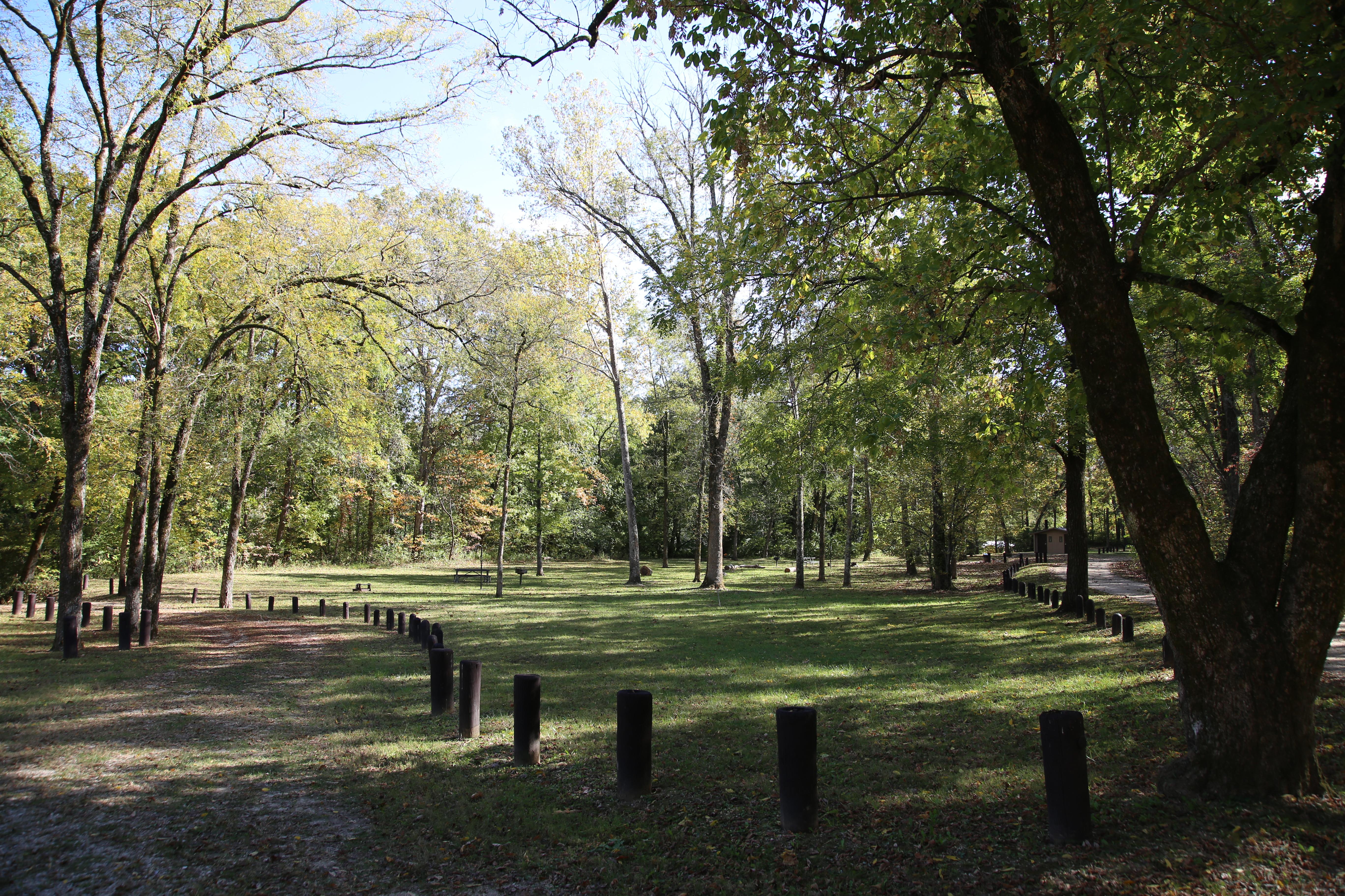 A grassy campground with scattered trees and plenty of shade.