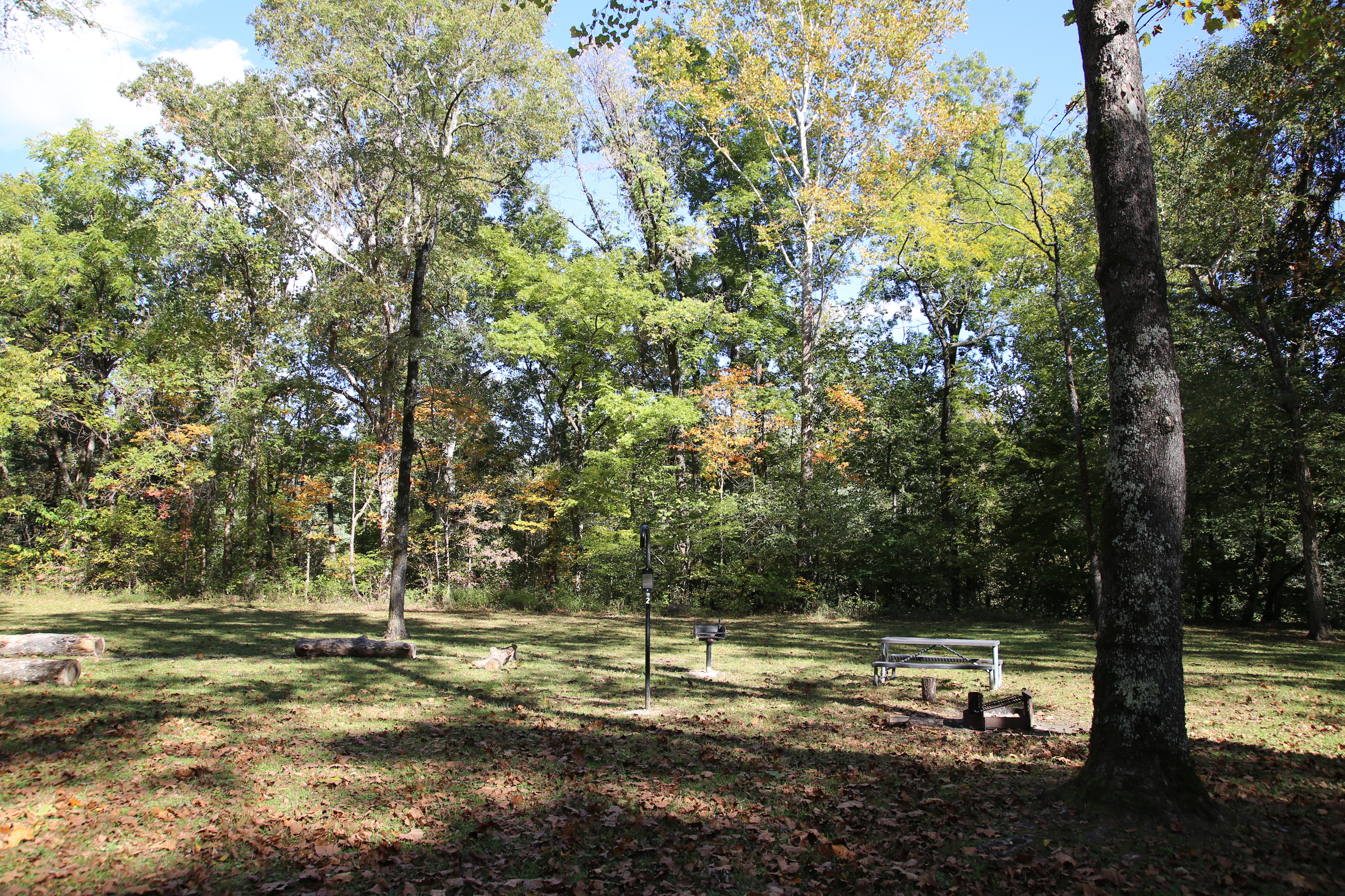 A grassy campsite with a woodland backdrop.