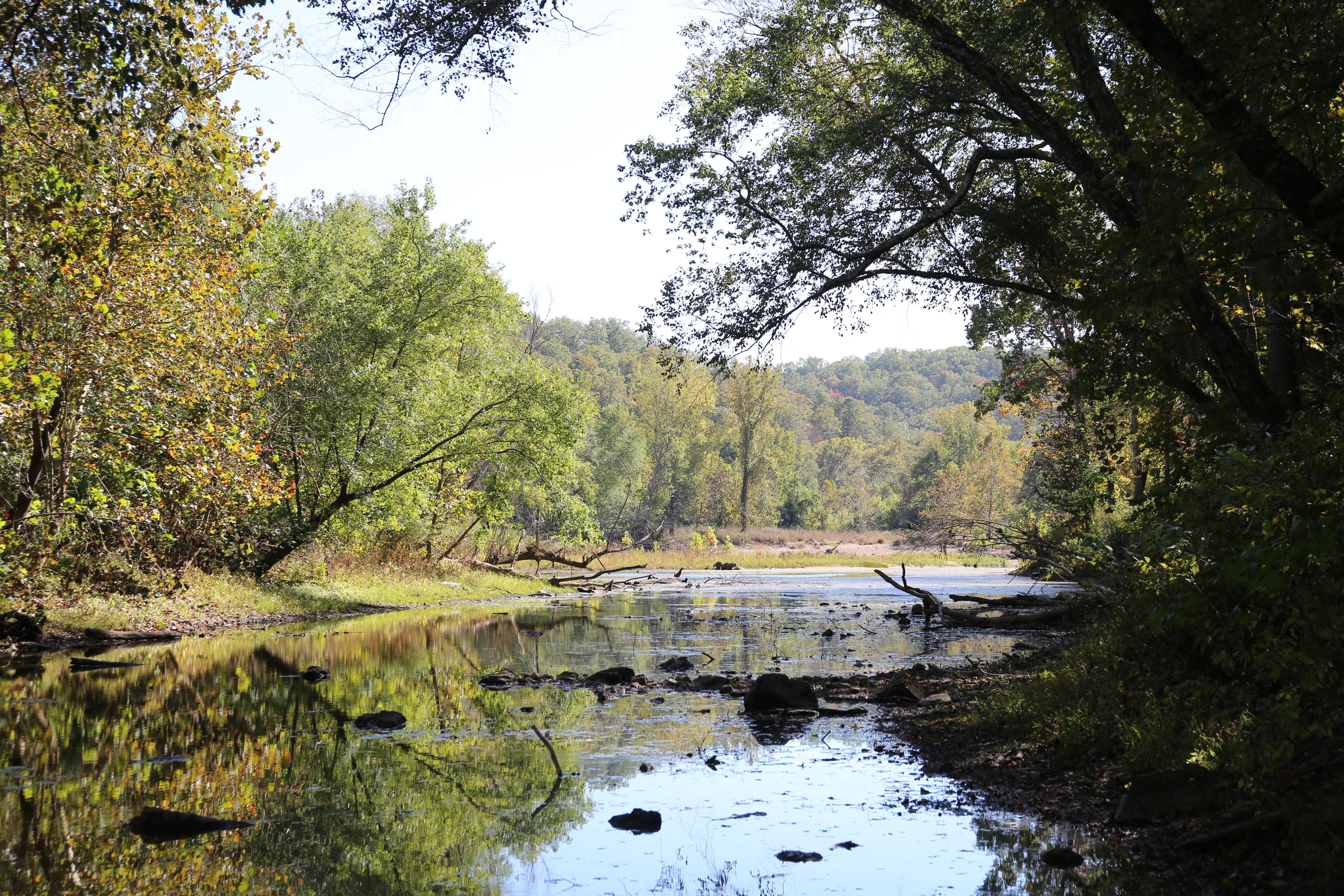 A stagnant water inlet off the Current River.