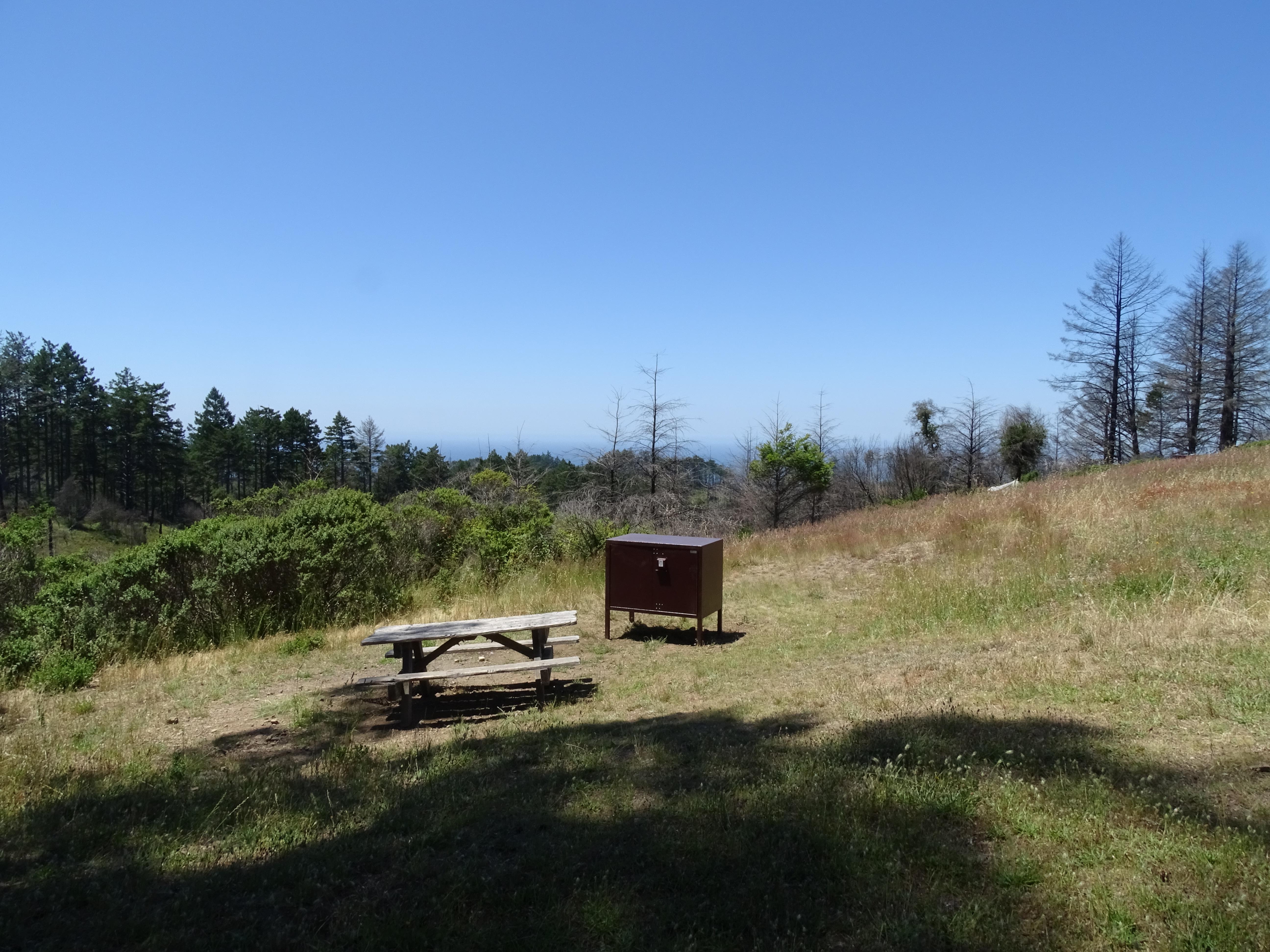 A campsite containing a picnic table and a food storage locker overlooking trees and the ocean.