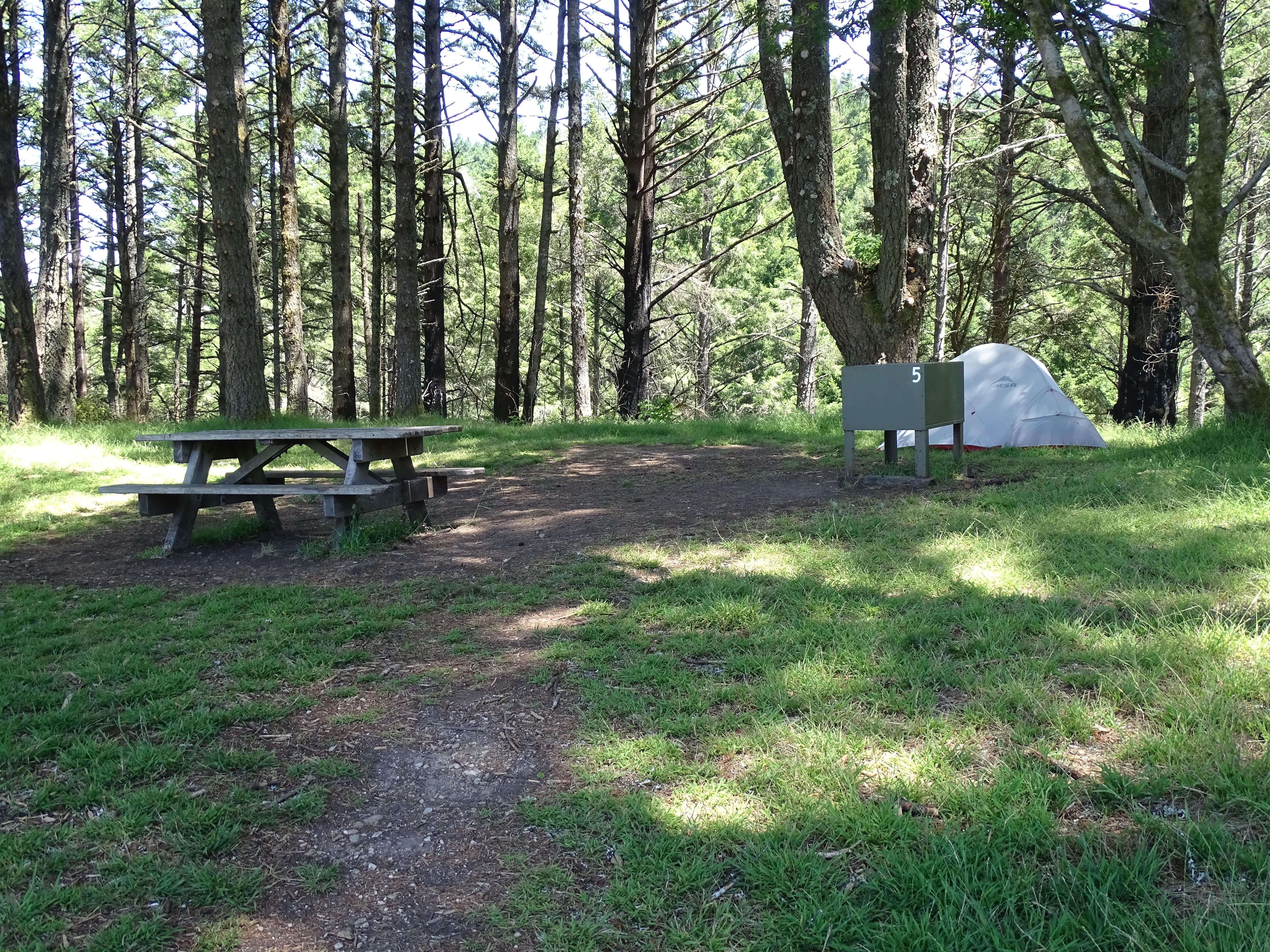 A tree-shaded campsite containing a small gray tent, a picnic table, and a food storage locker.