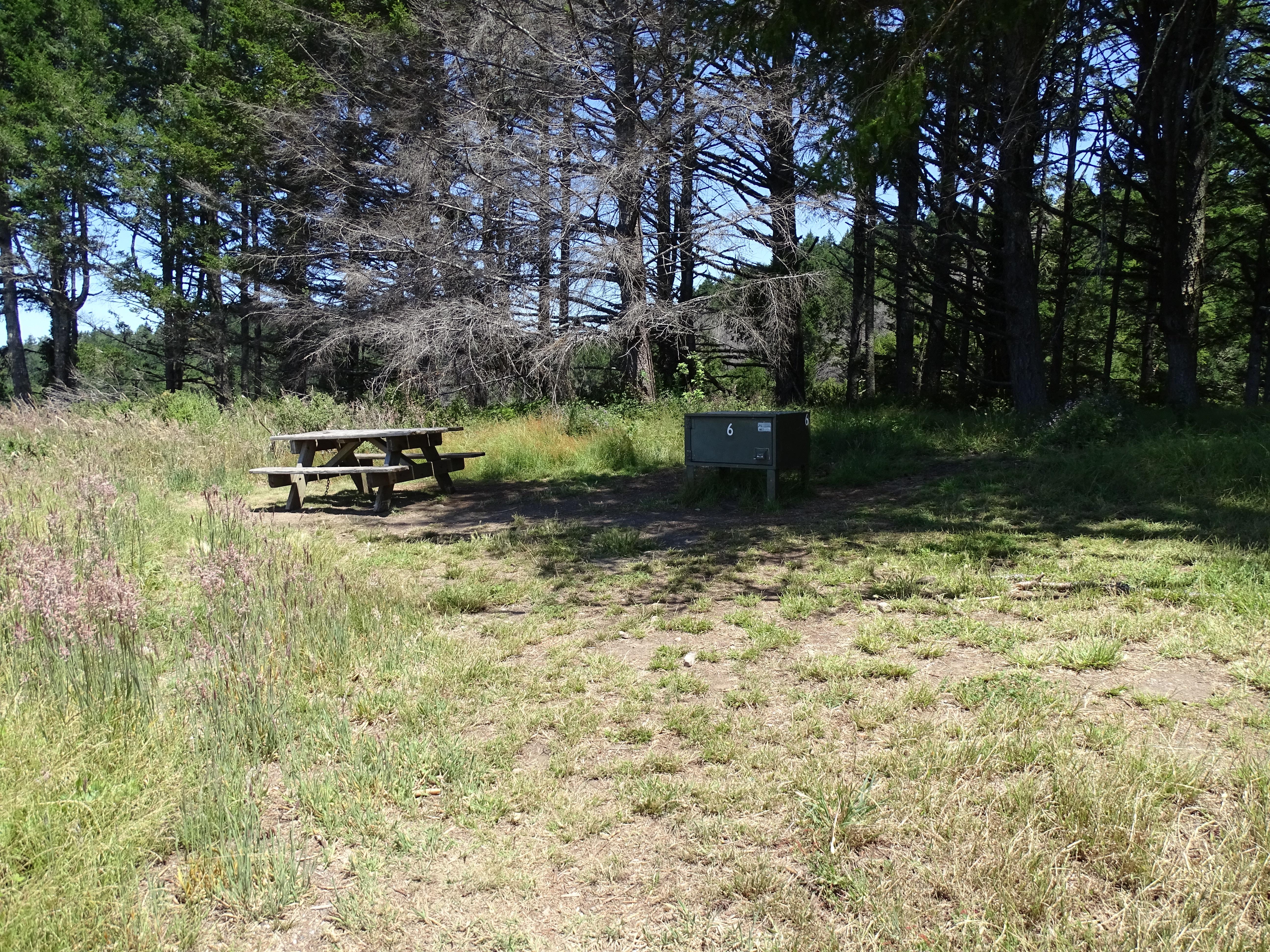 A partially tree-shaded campsite containing a picnic table and a food storage locker.