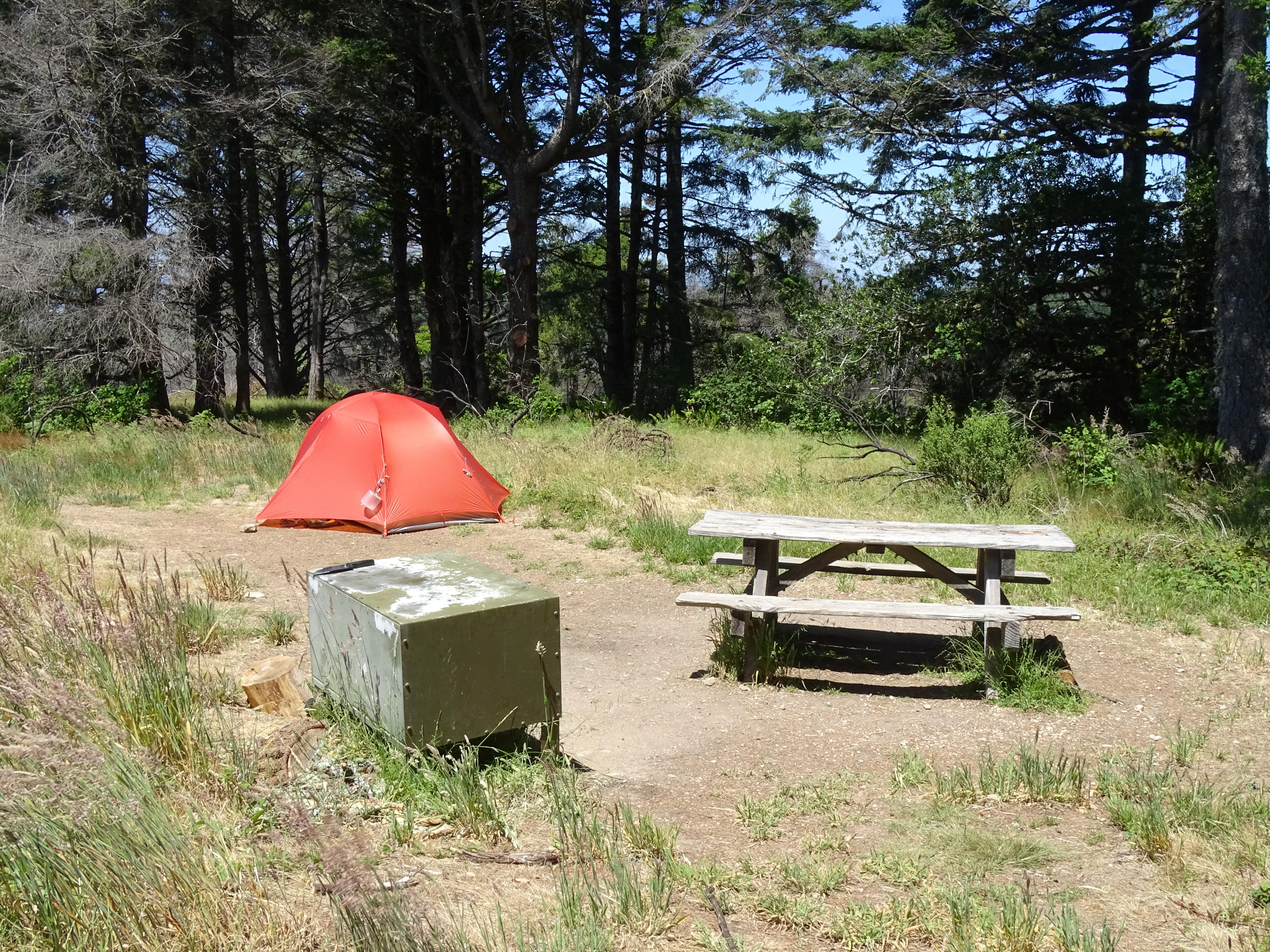 A campsite containing a small orangish-red tent, a picnic table, and a food storage locker.