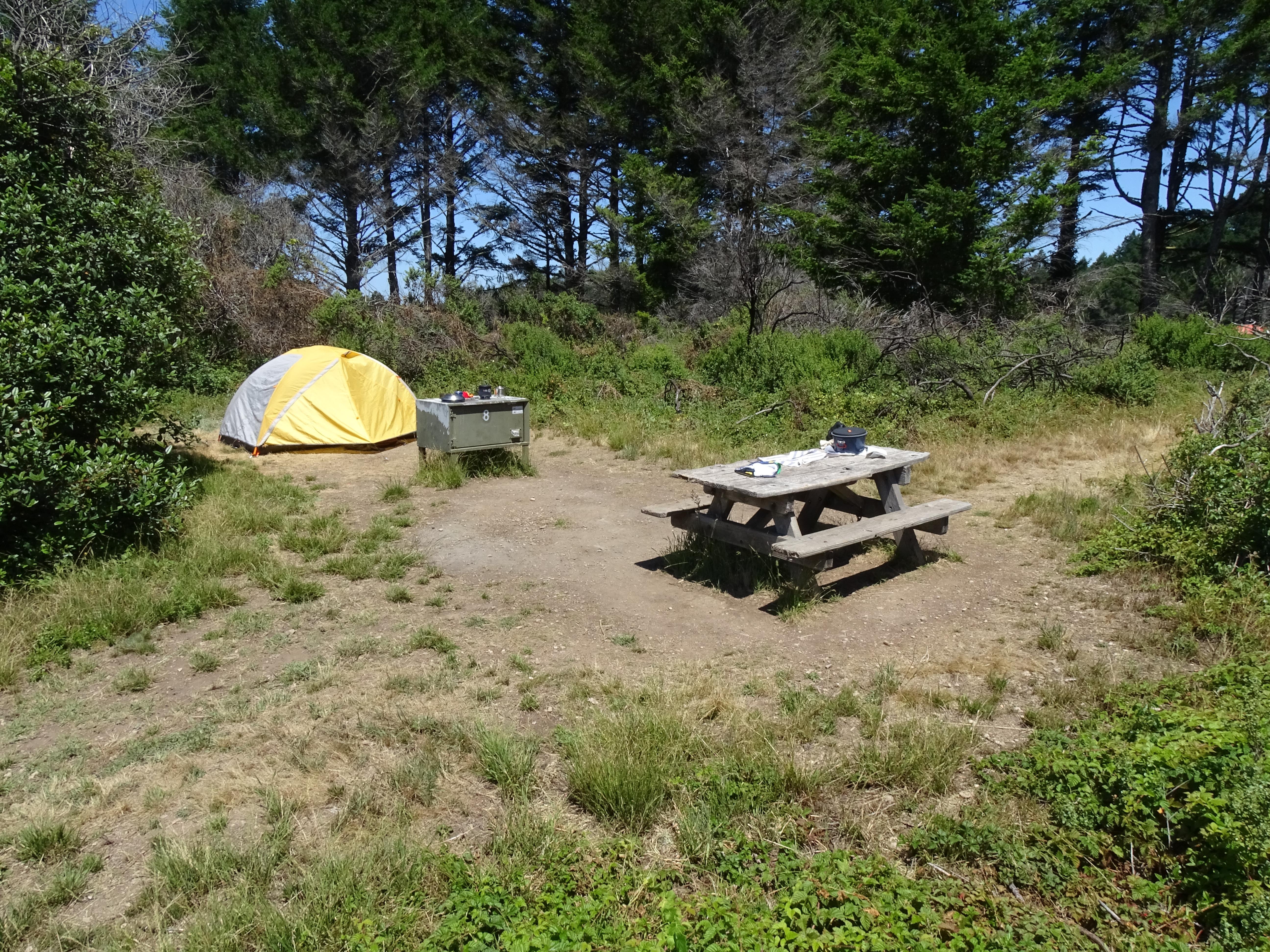A campsite containing a small gray and yellow tent, a picnic table, and a food storage locker.