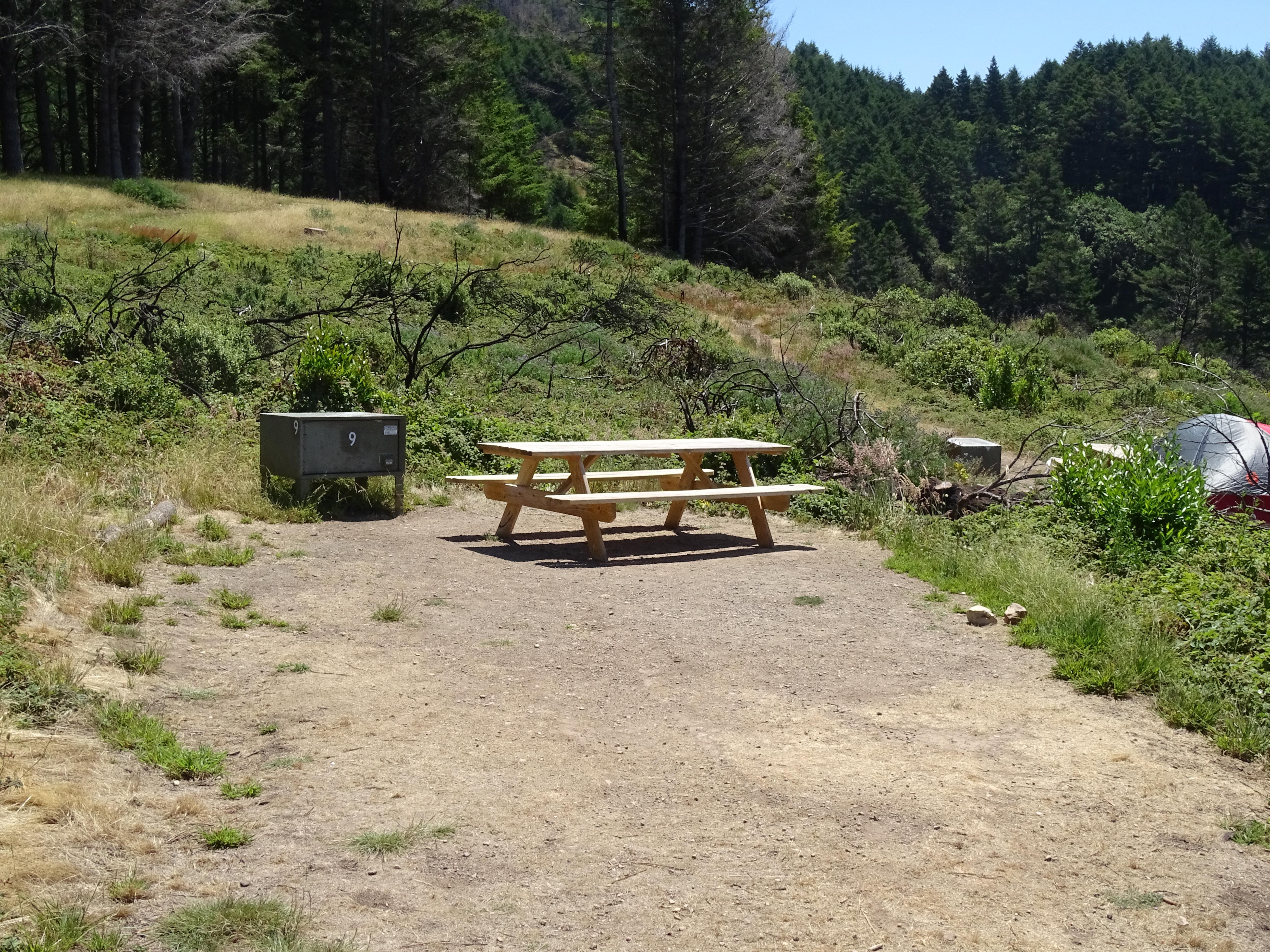 A campsite containing a new wooden picnic table and a food storage locker.