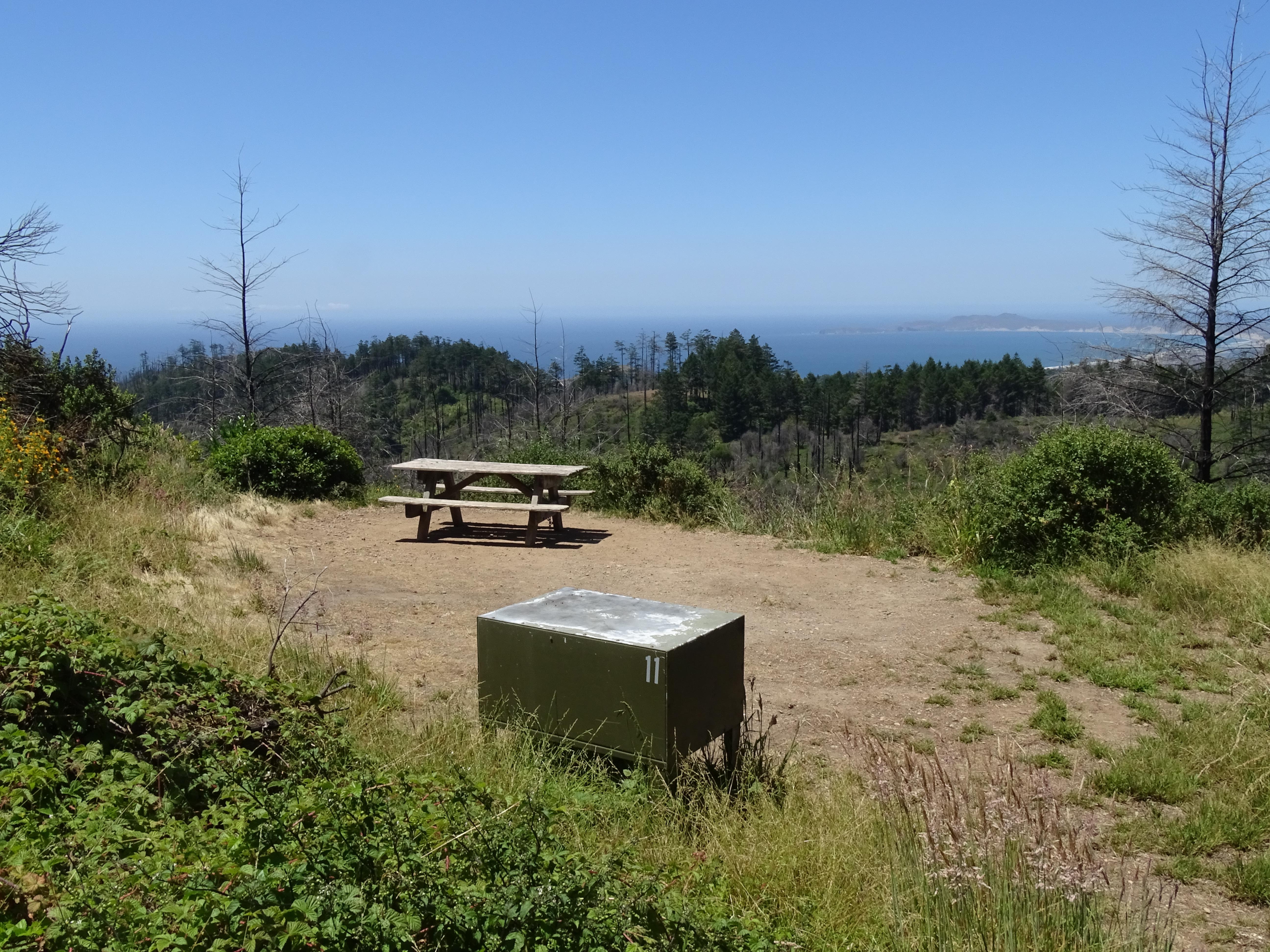 A campsite containing a picnic table and a food storage locker overlooking trees and the ocean.
