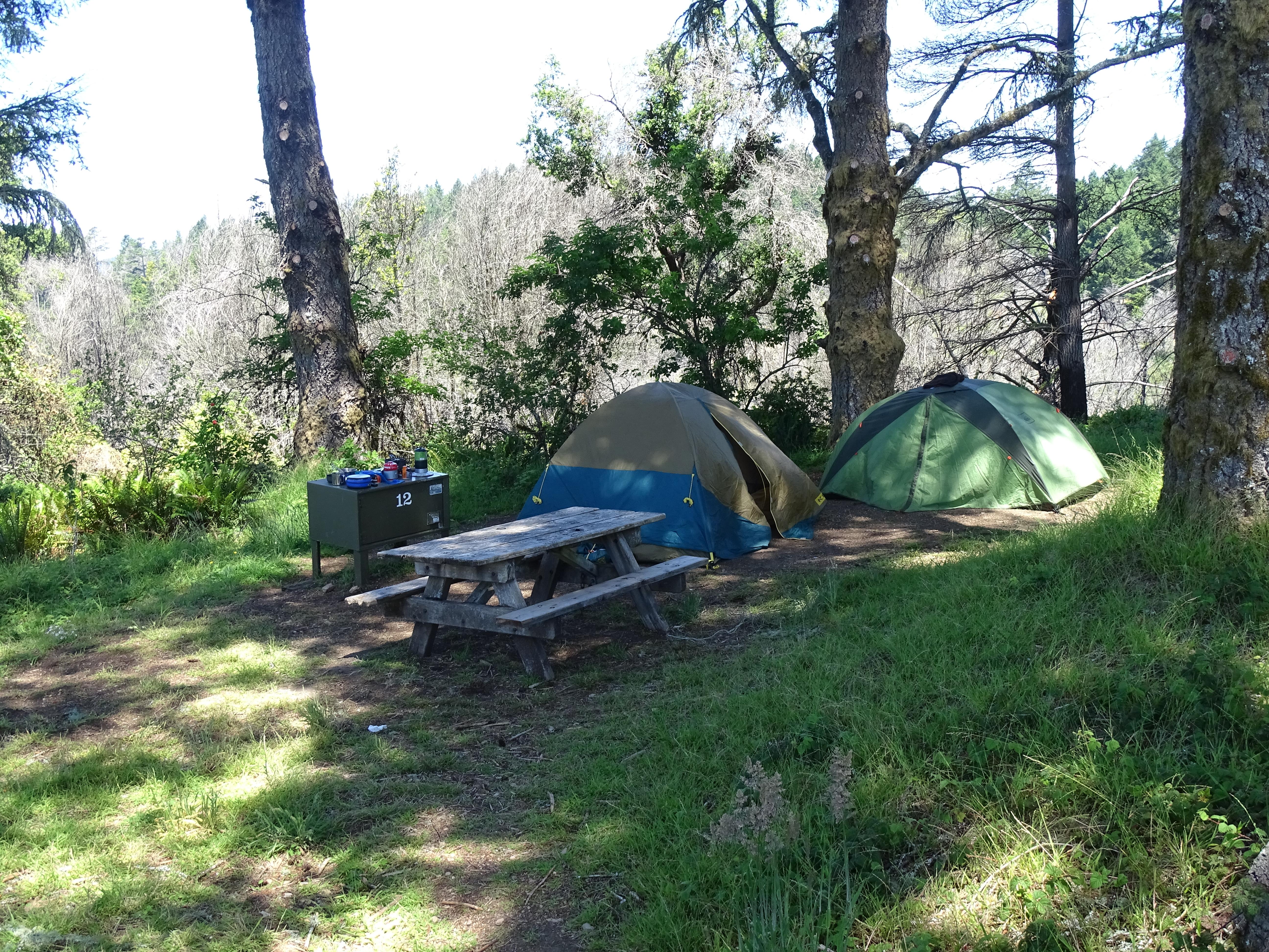 A campsite containing two tents, a picnic table, and a food storage locker surrounded by trees.