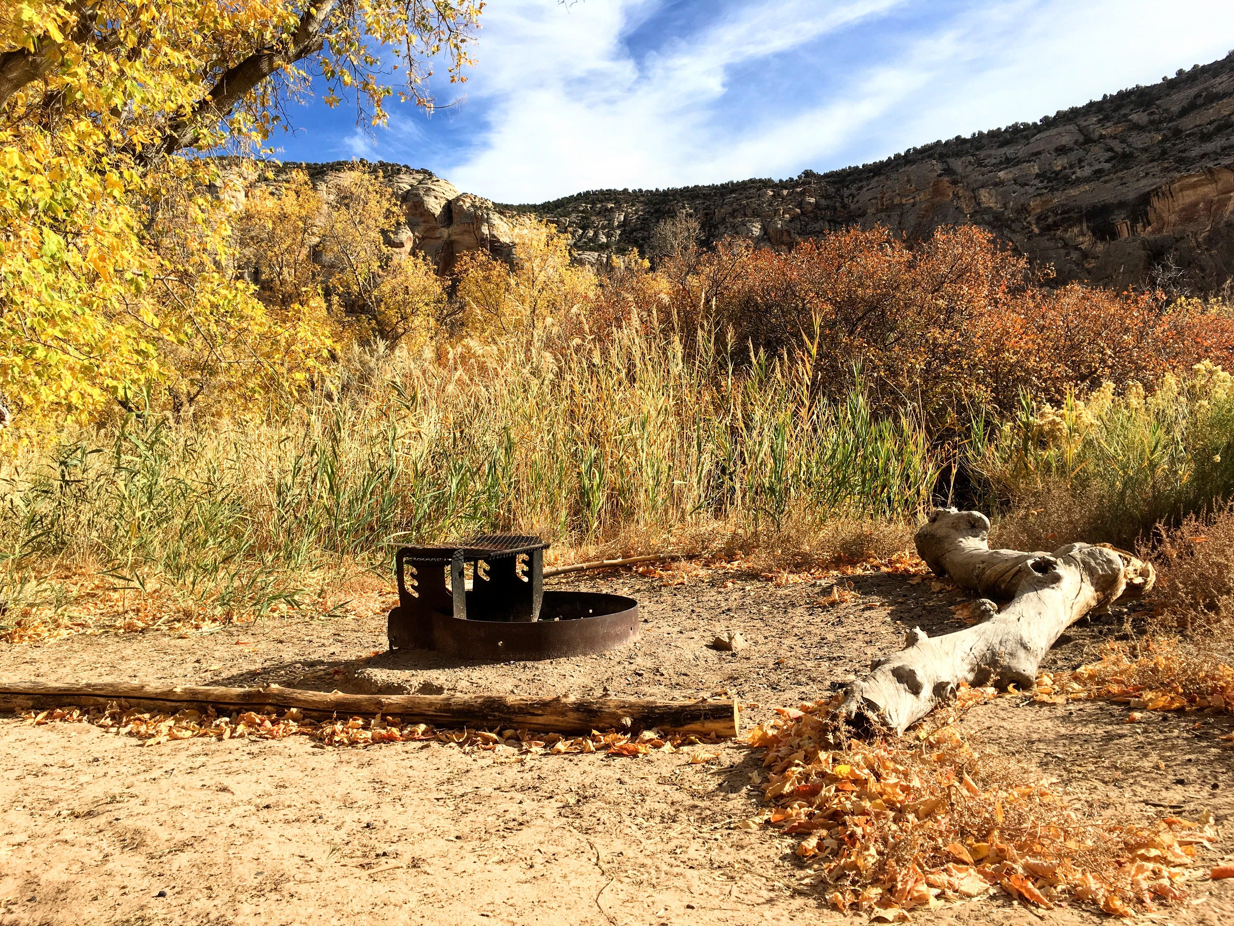 A fire grate beside a log for sitting in the Echo Park Campground.
