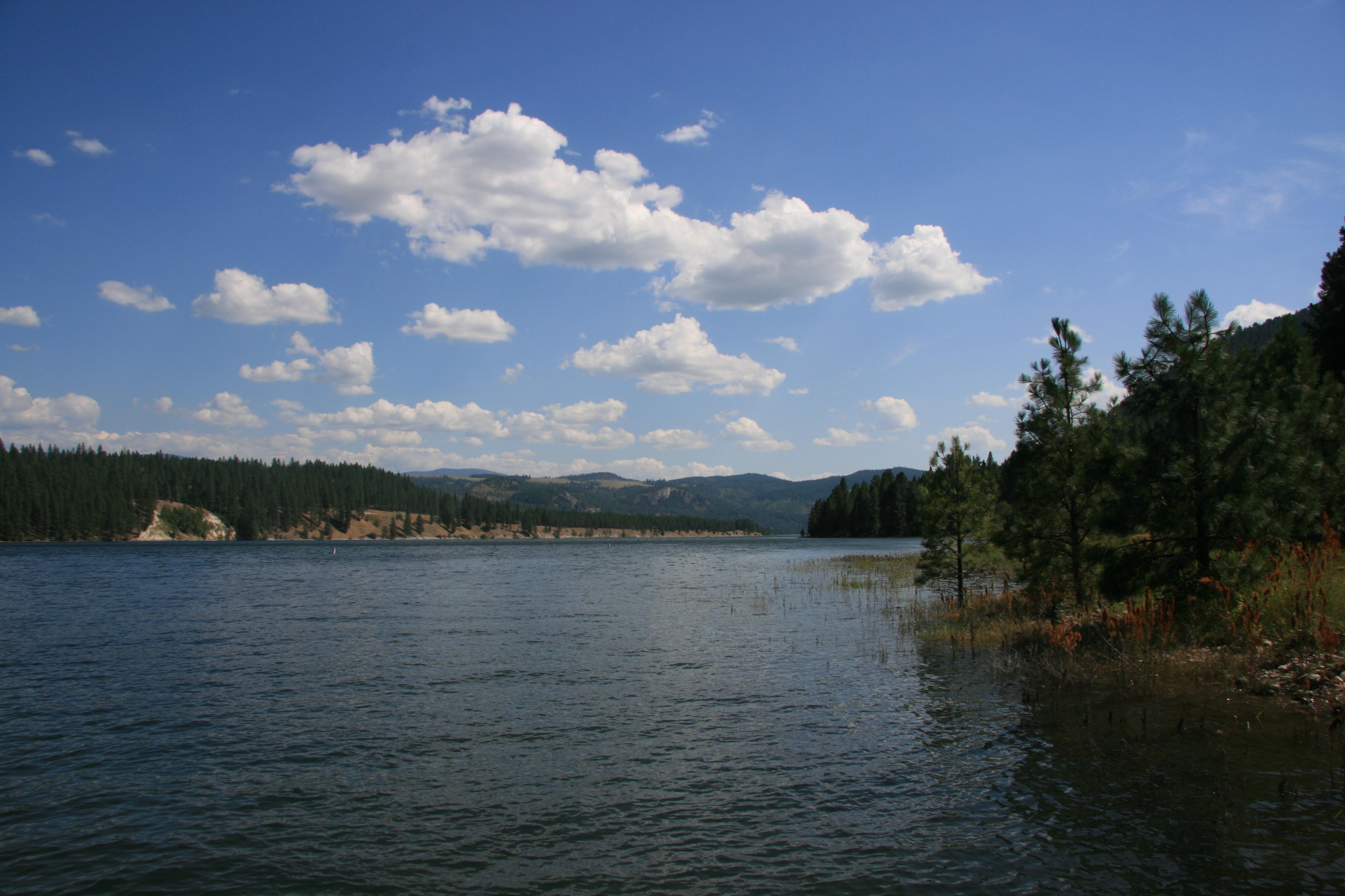 A view of the lake, with pine covered slopes and reeds along the shore.