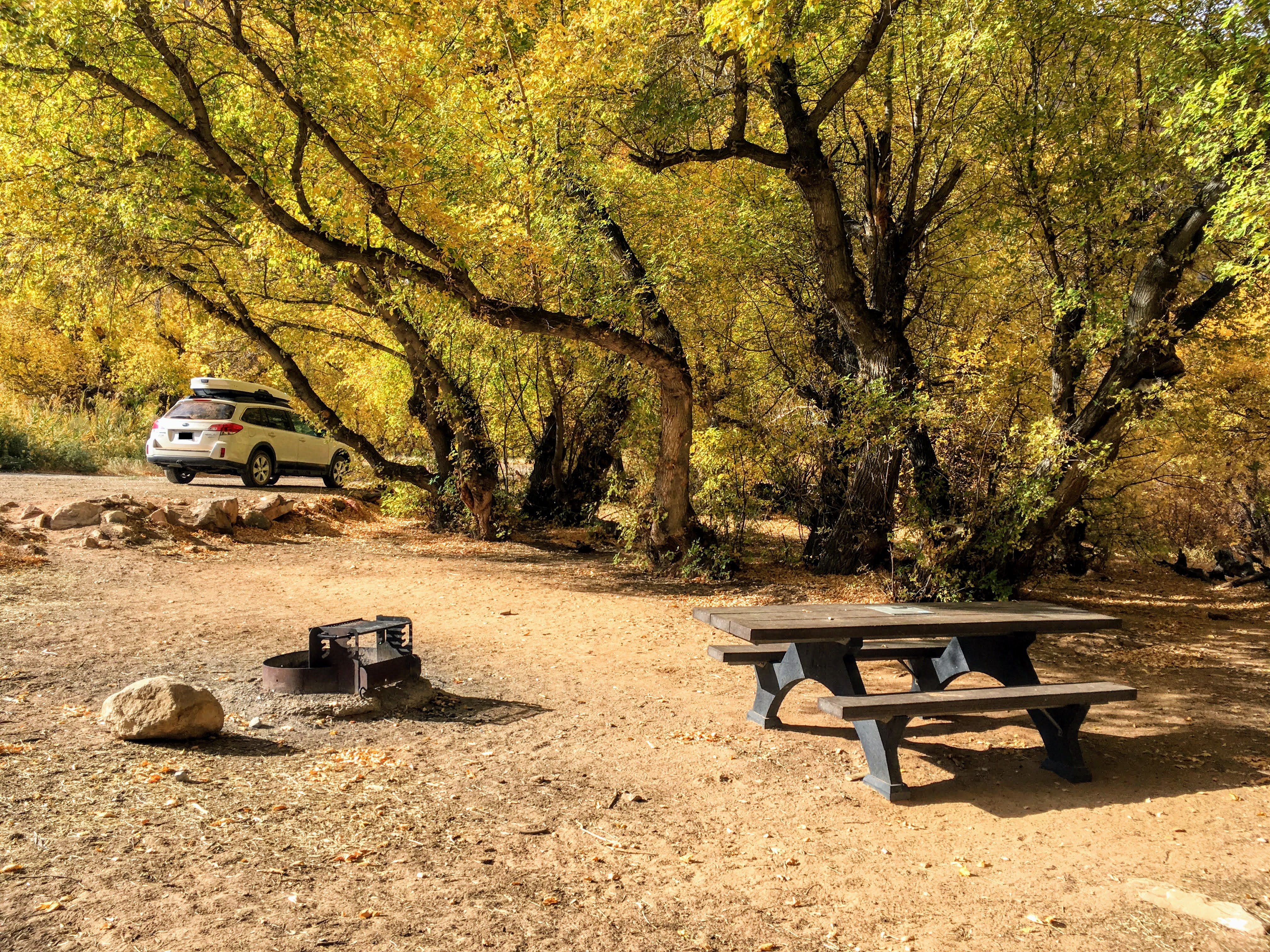 A campsite equipped with a fire pit and picnic table.